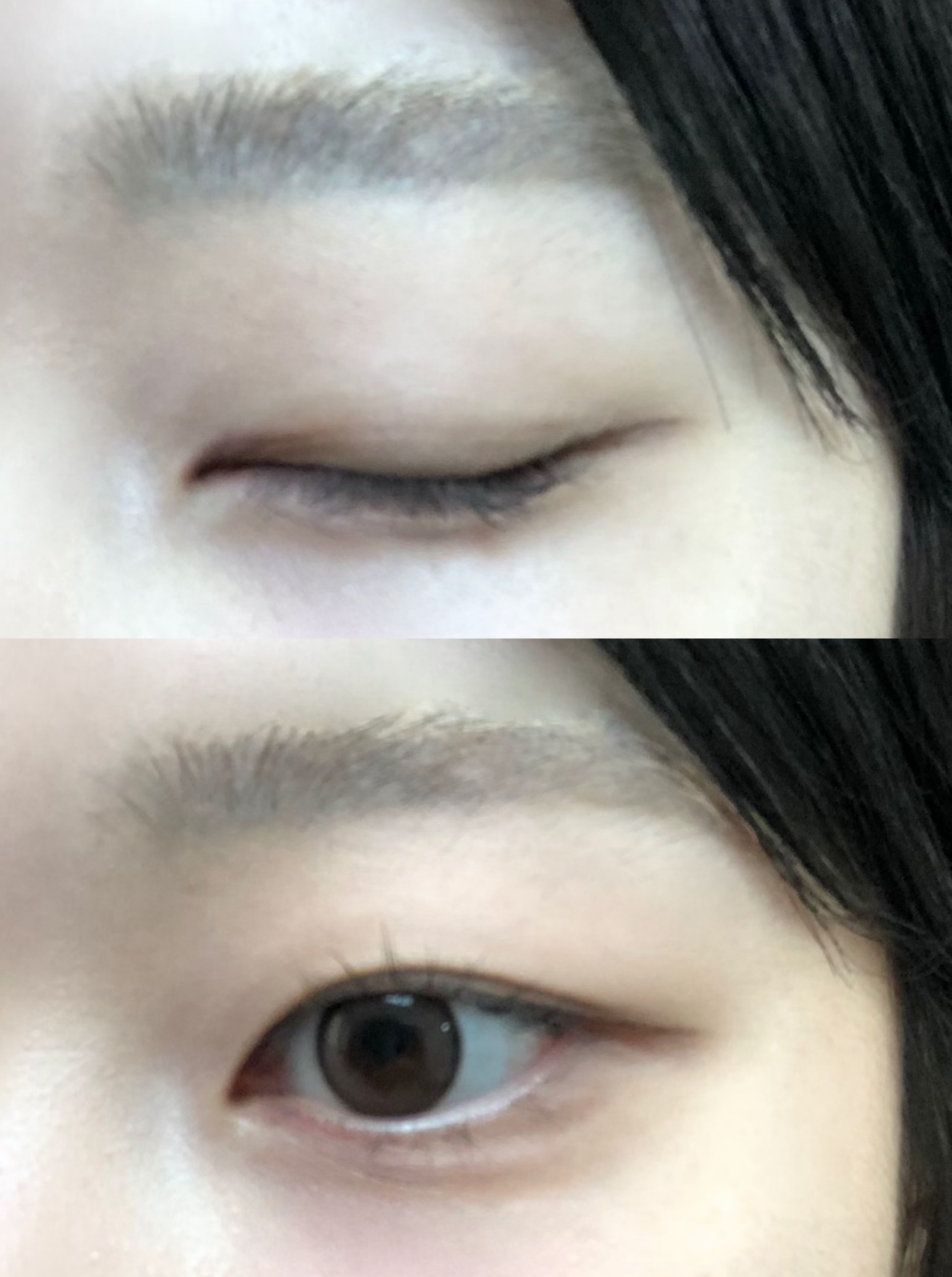 피드이미지정보-2