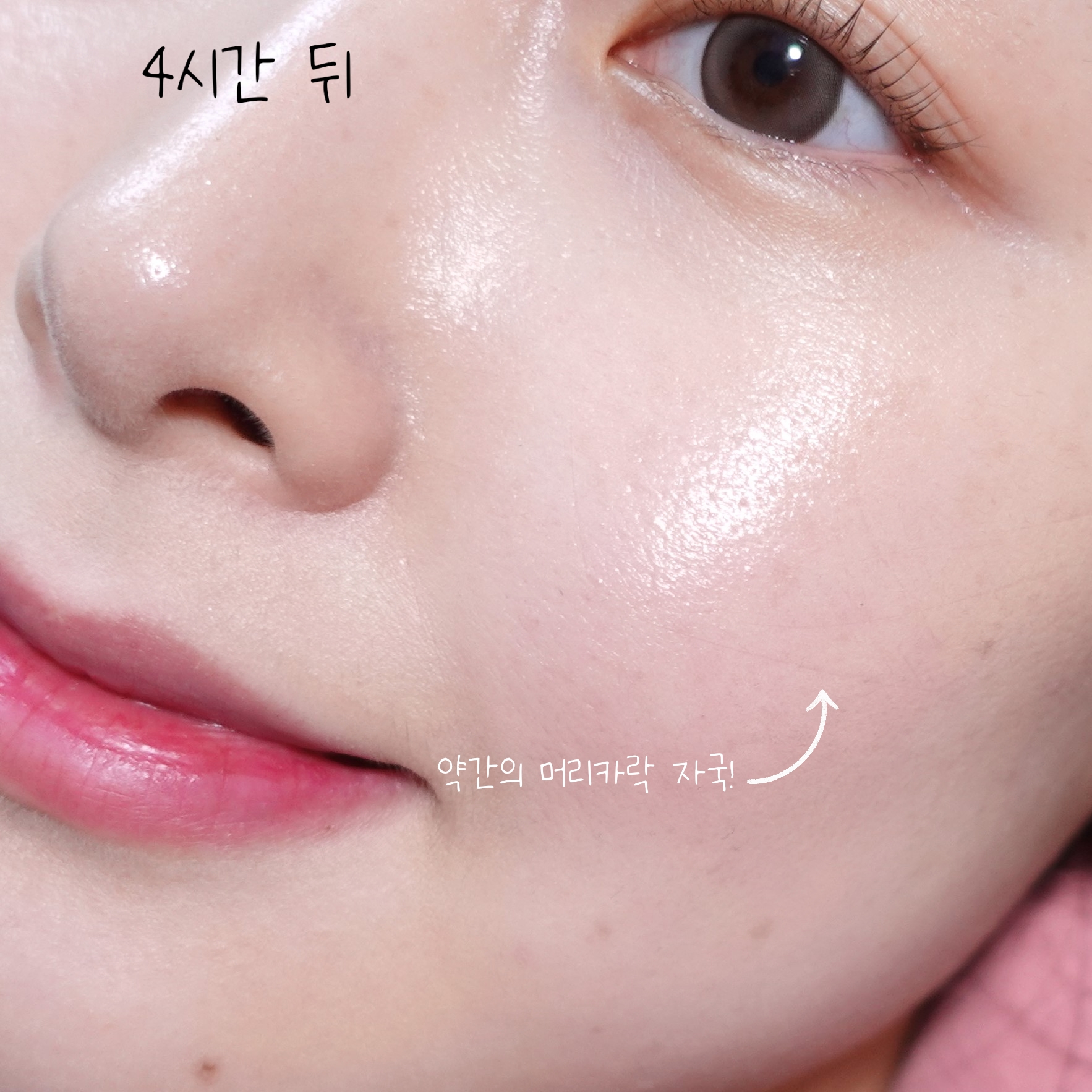 피드이미지정보-4