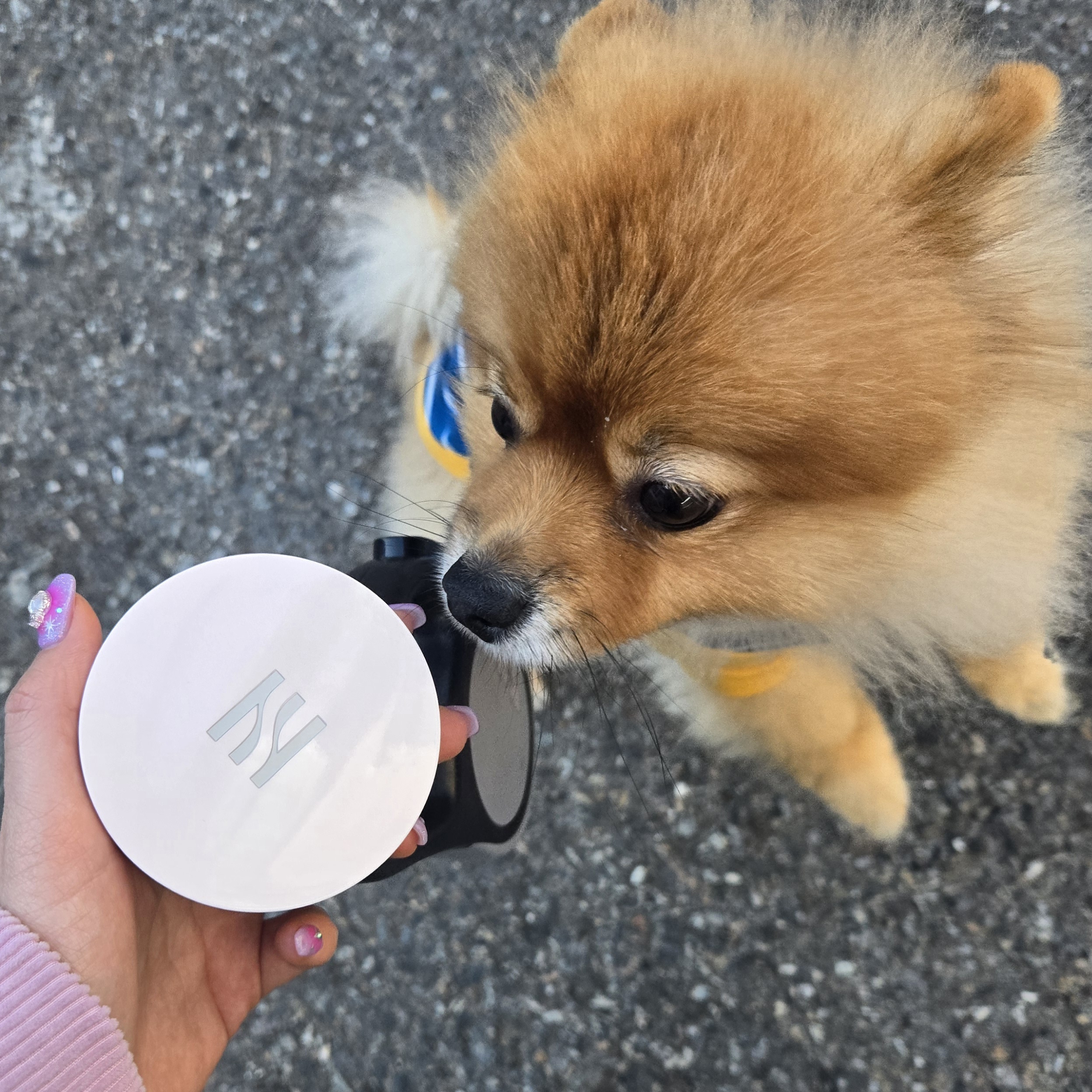 피드이미지정보-7