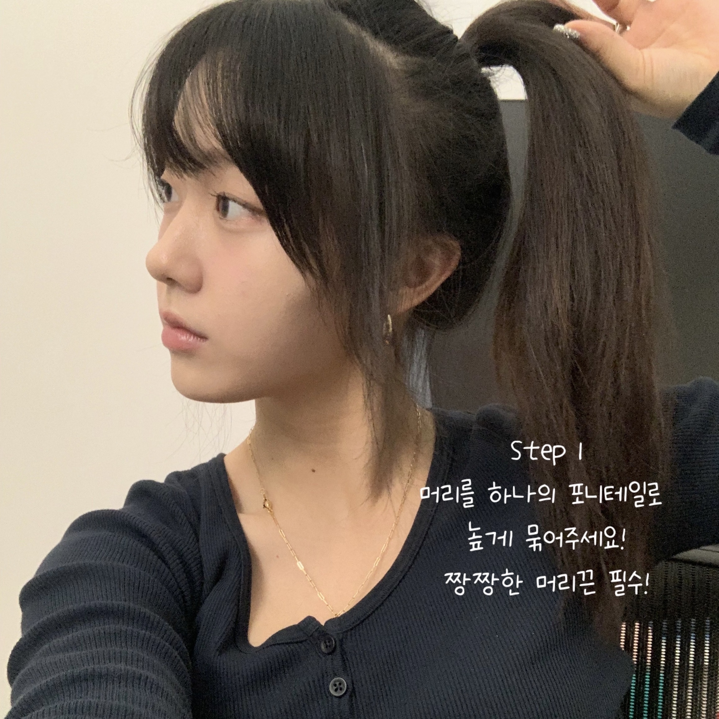 피드이미지정보-1