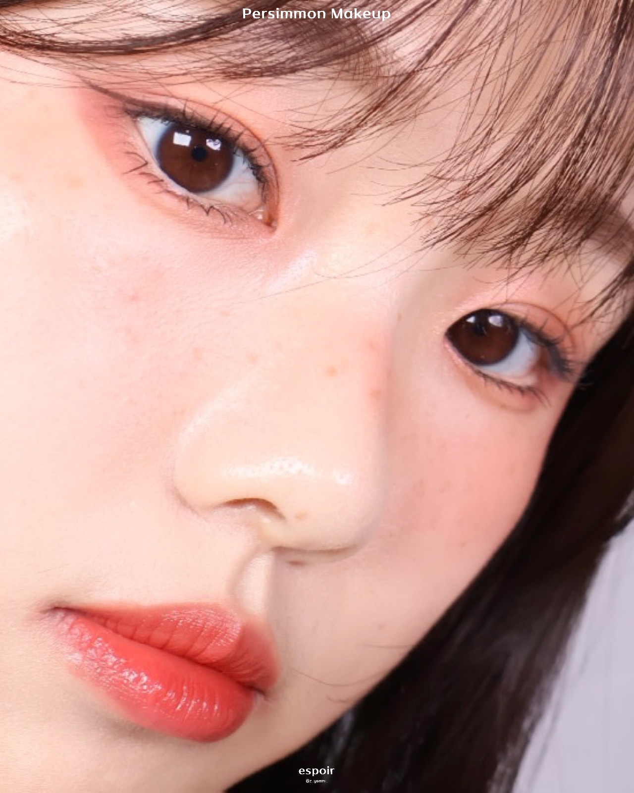 피드이미지정보-8