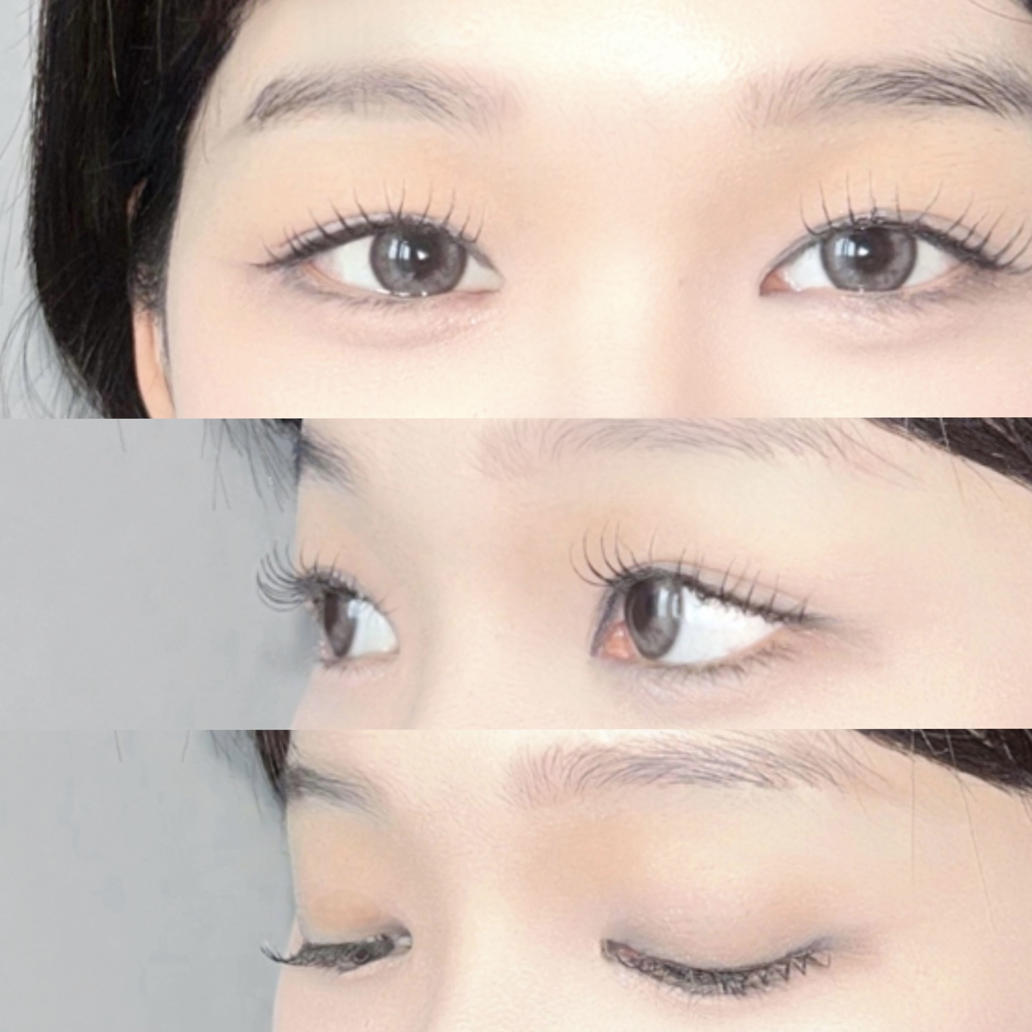 피드이미지정보-5