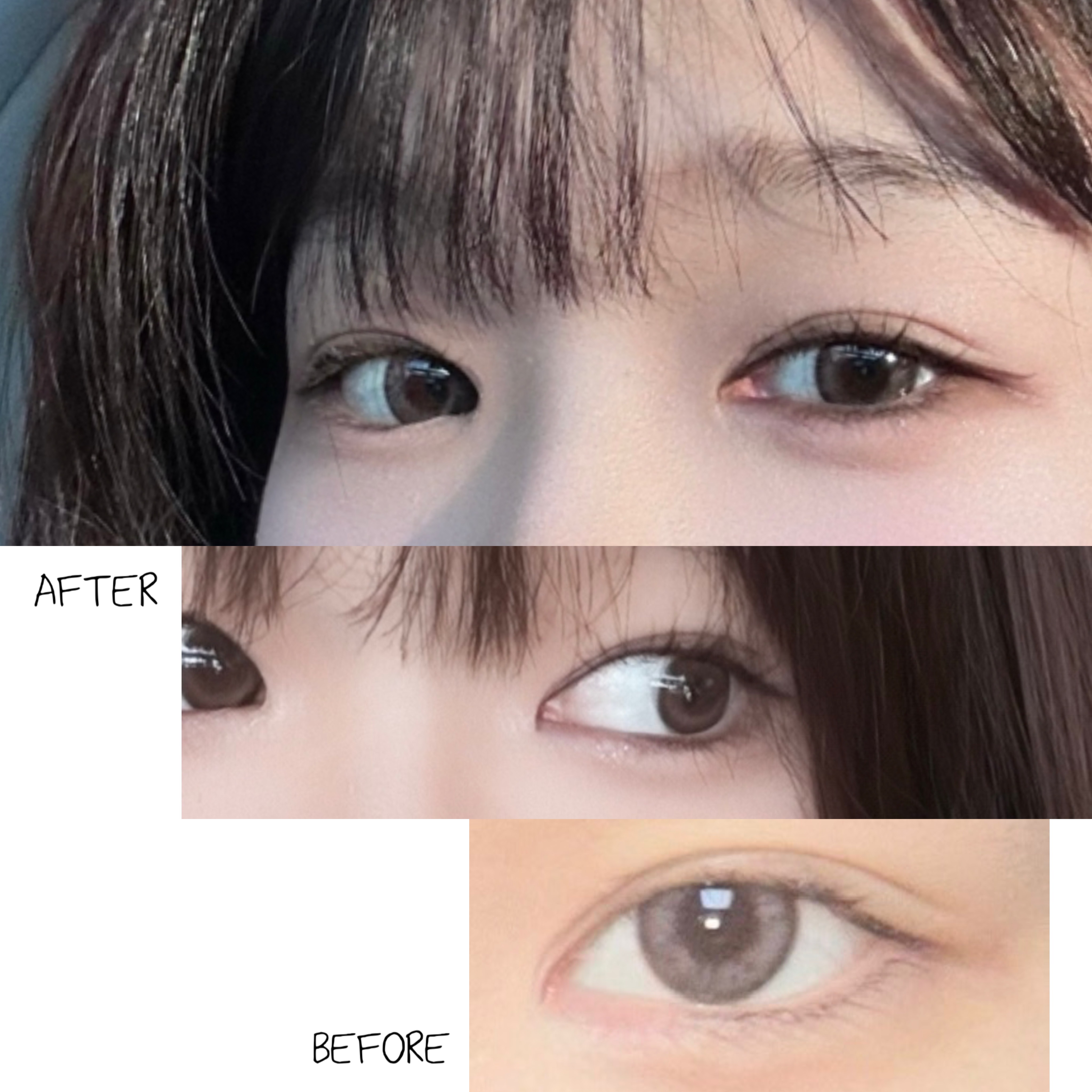 피드이미지정보-4