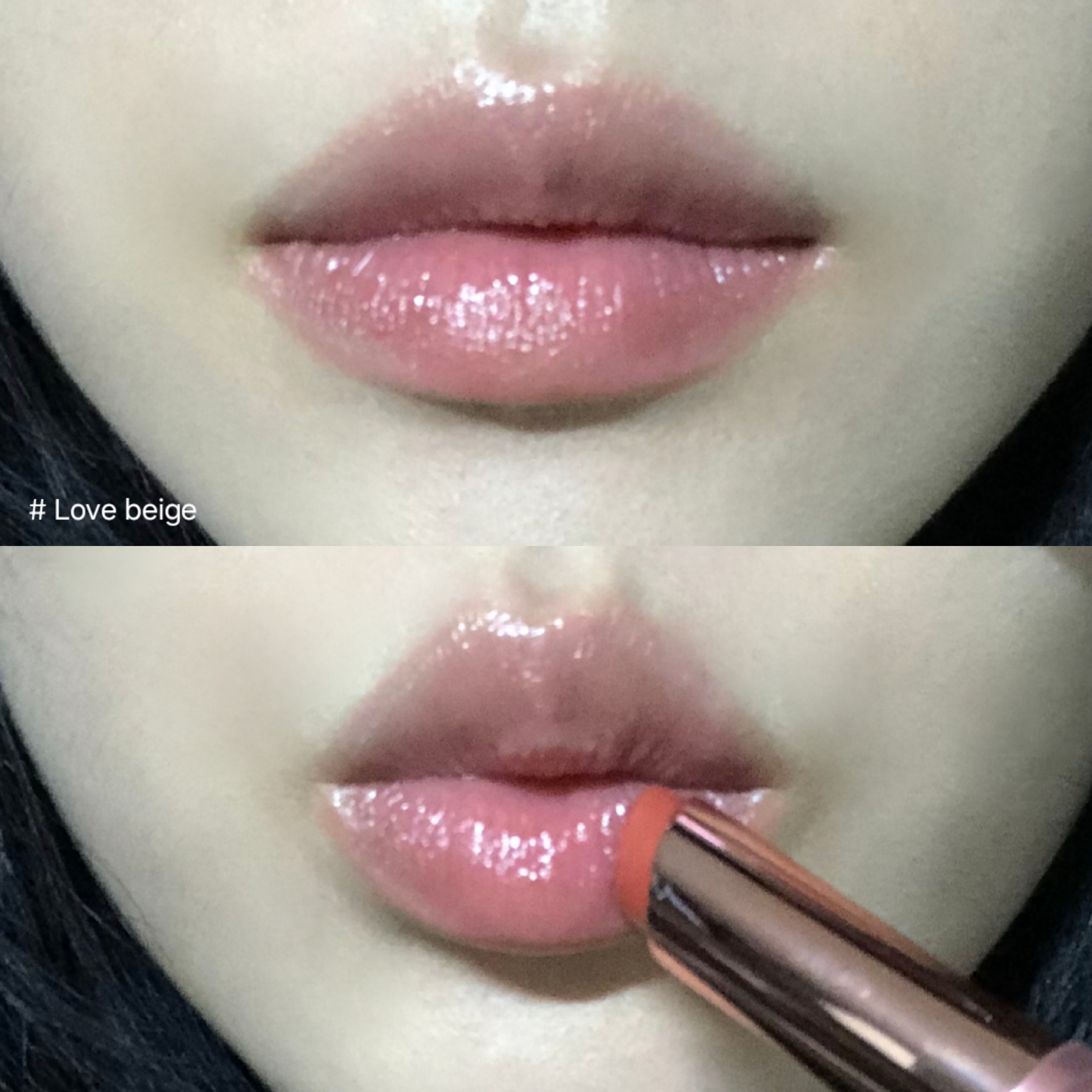 피드이미지정보-5