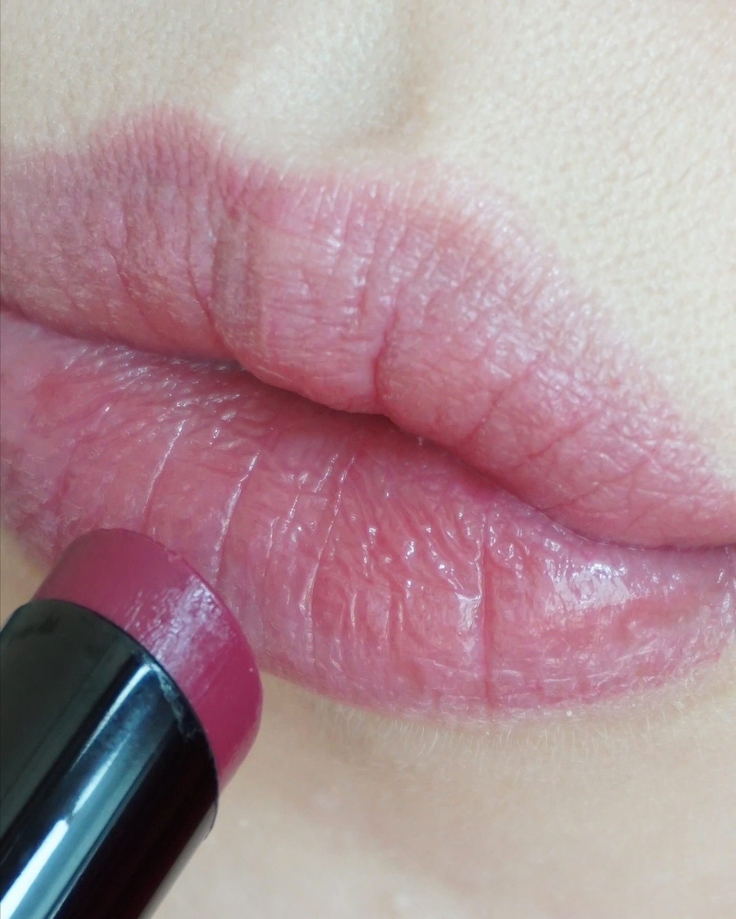 피드이미지정보-3