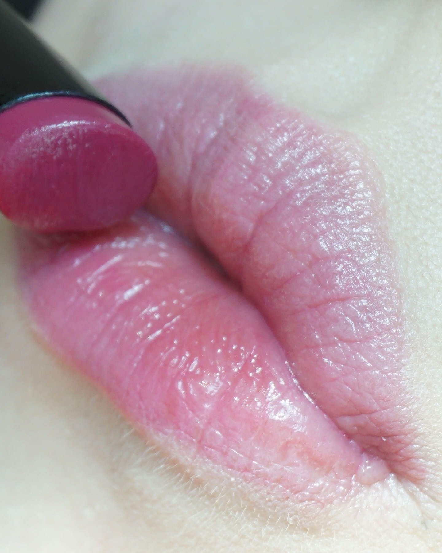 피드이미지정보-4