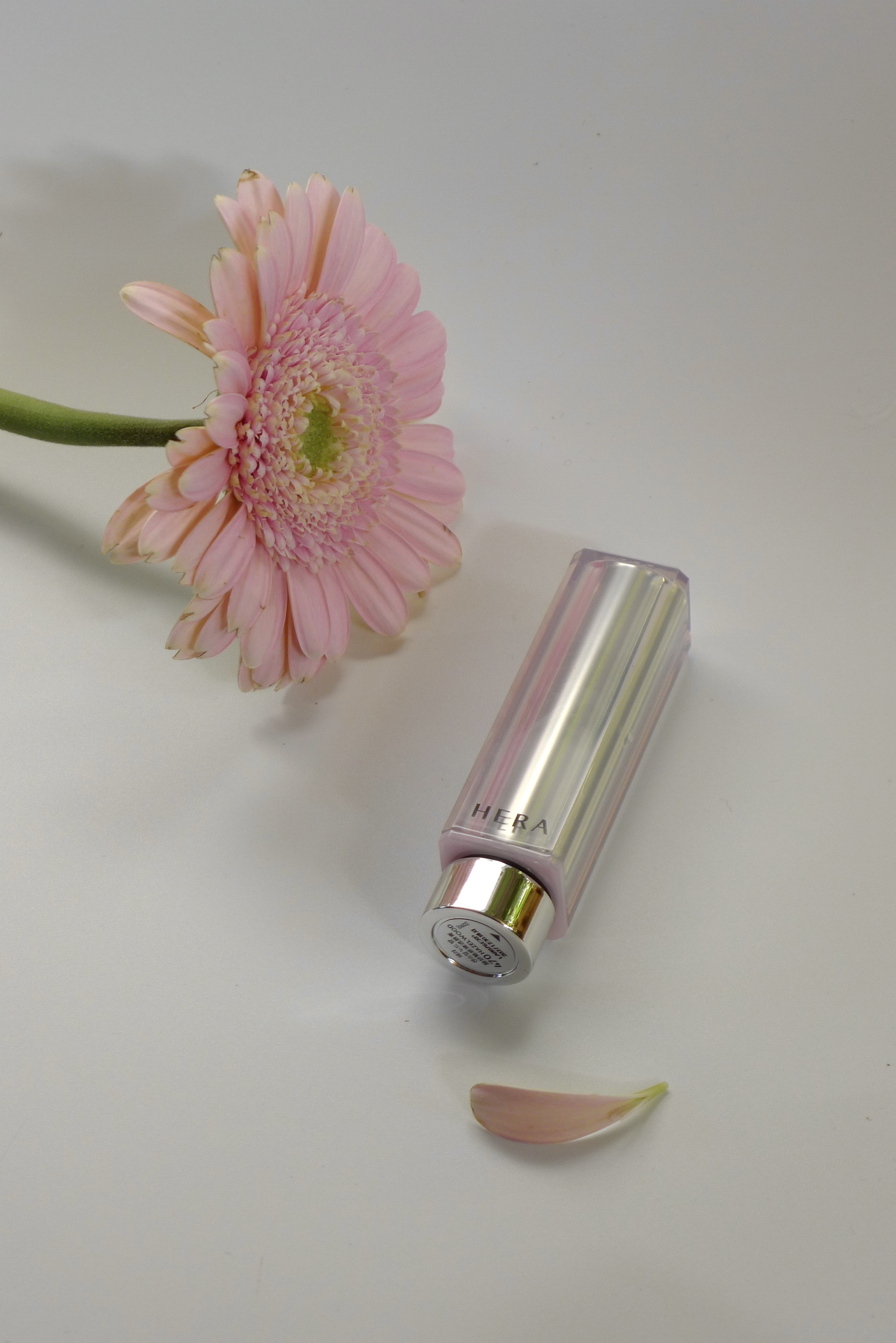 피드이미지정보-1