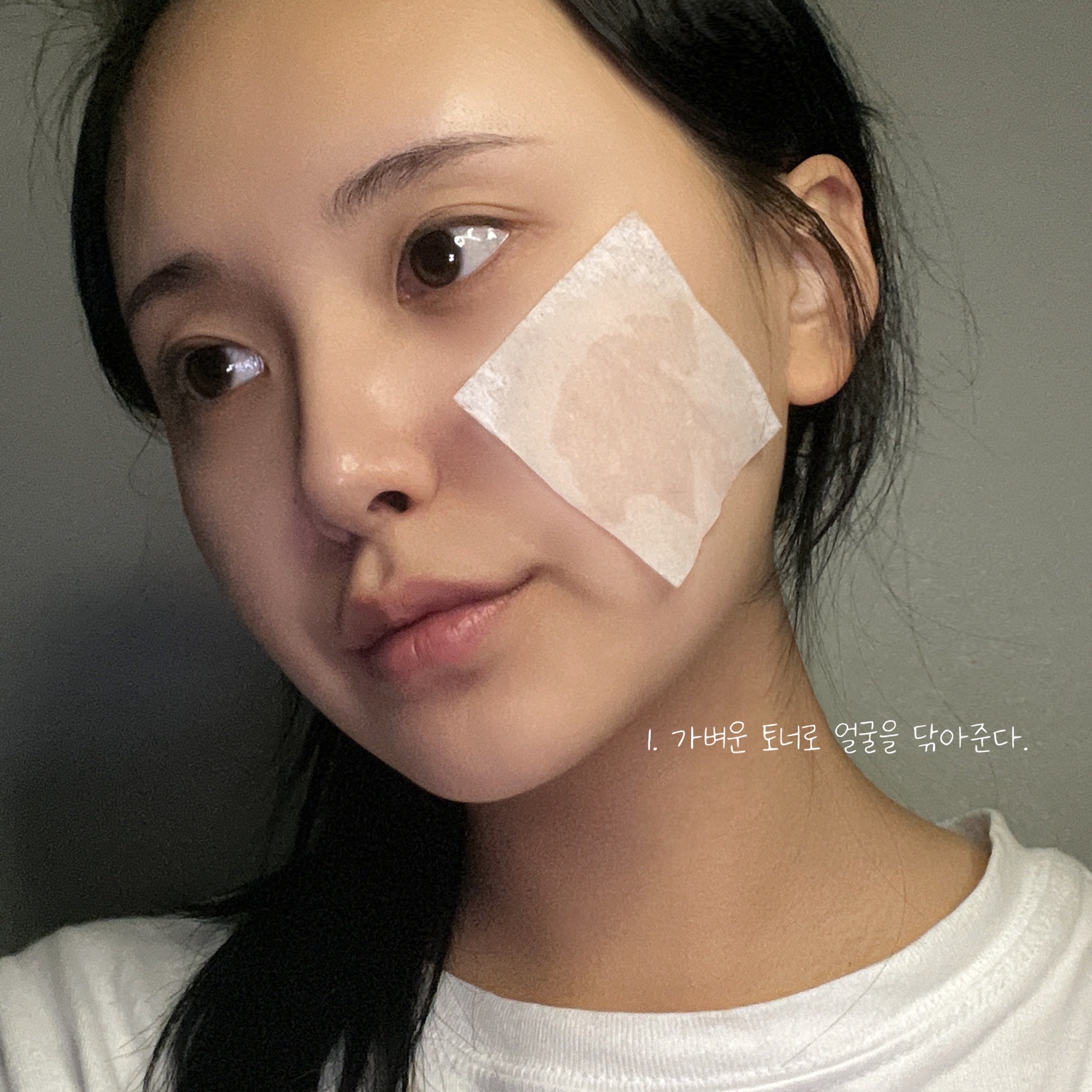 피드이미지정보-2