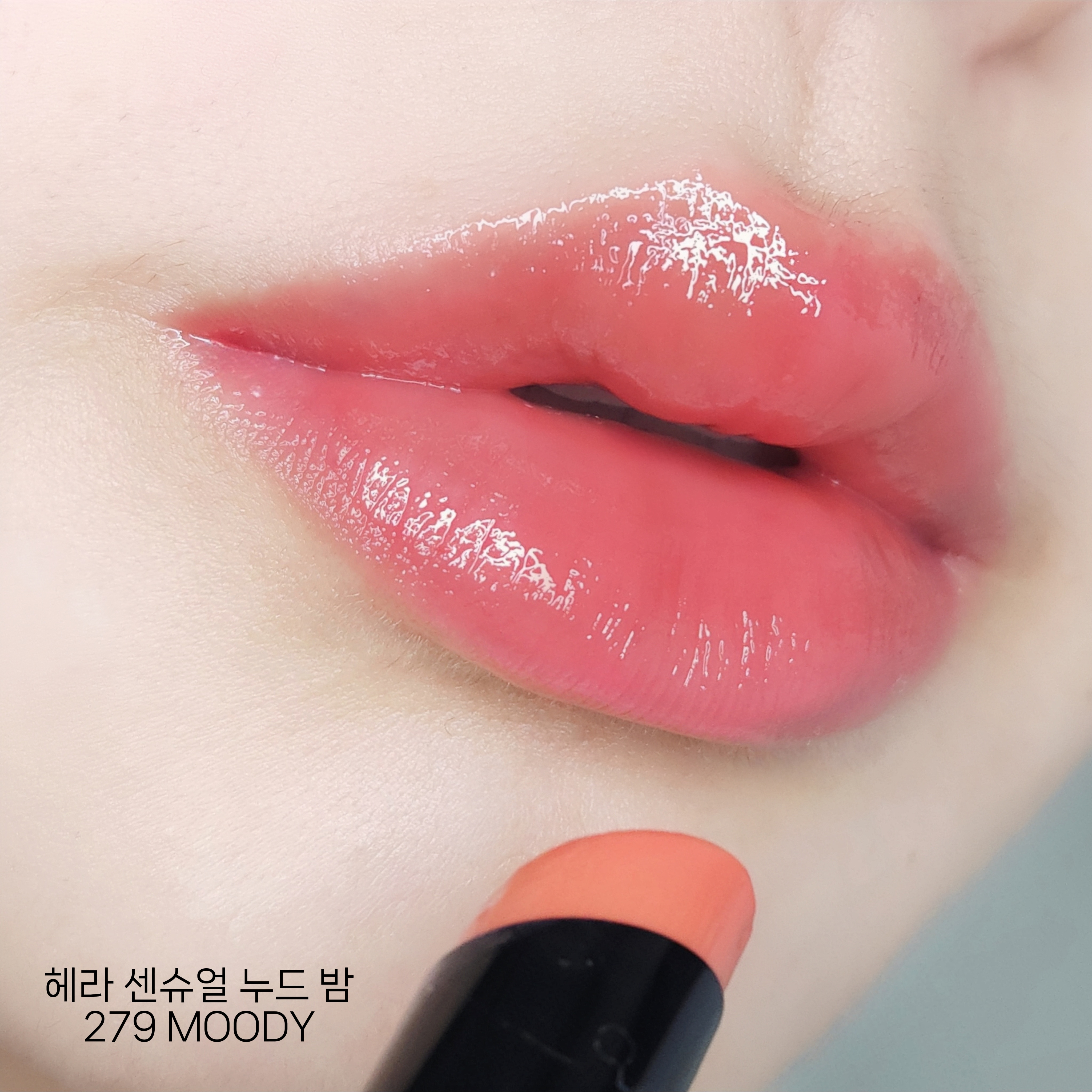 피드이미지정보-0