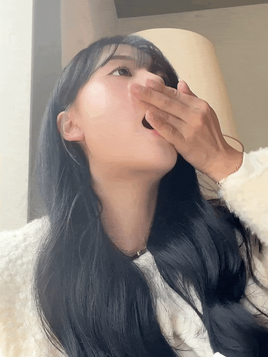 피드이미지정보-1