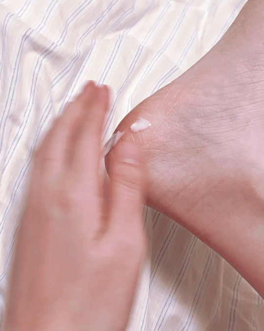 피드이미지정보-3