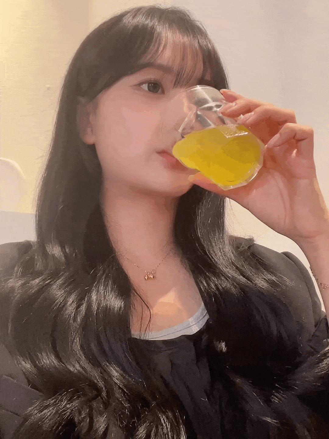 피드이미지정보-0