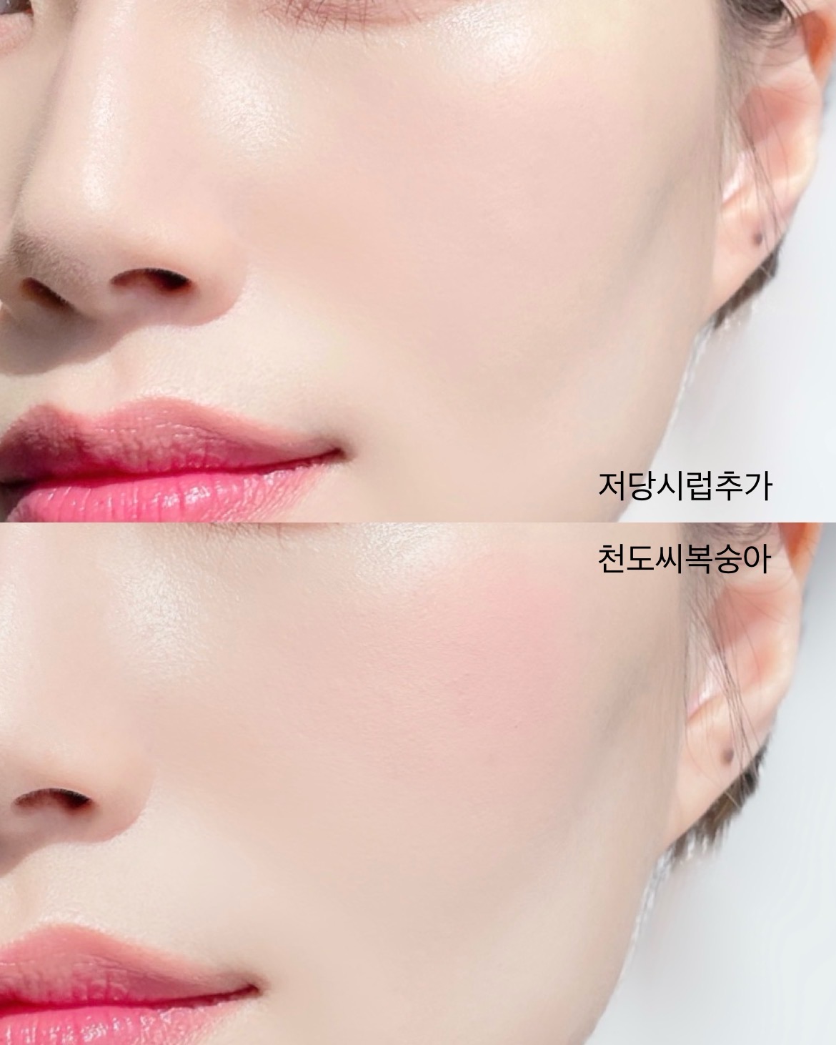 피드이미지정보-4