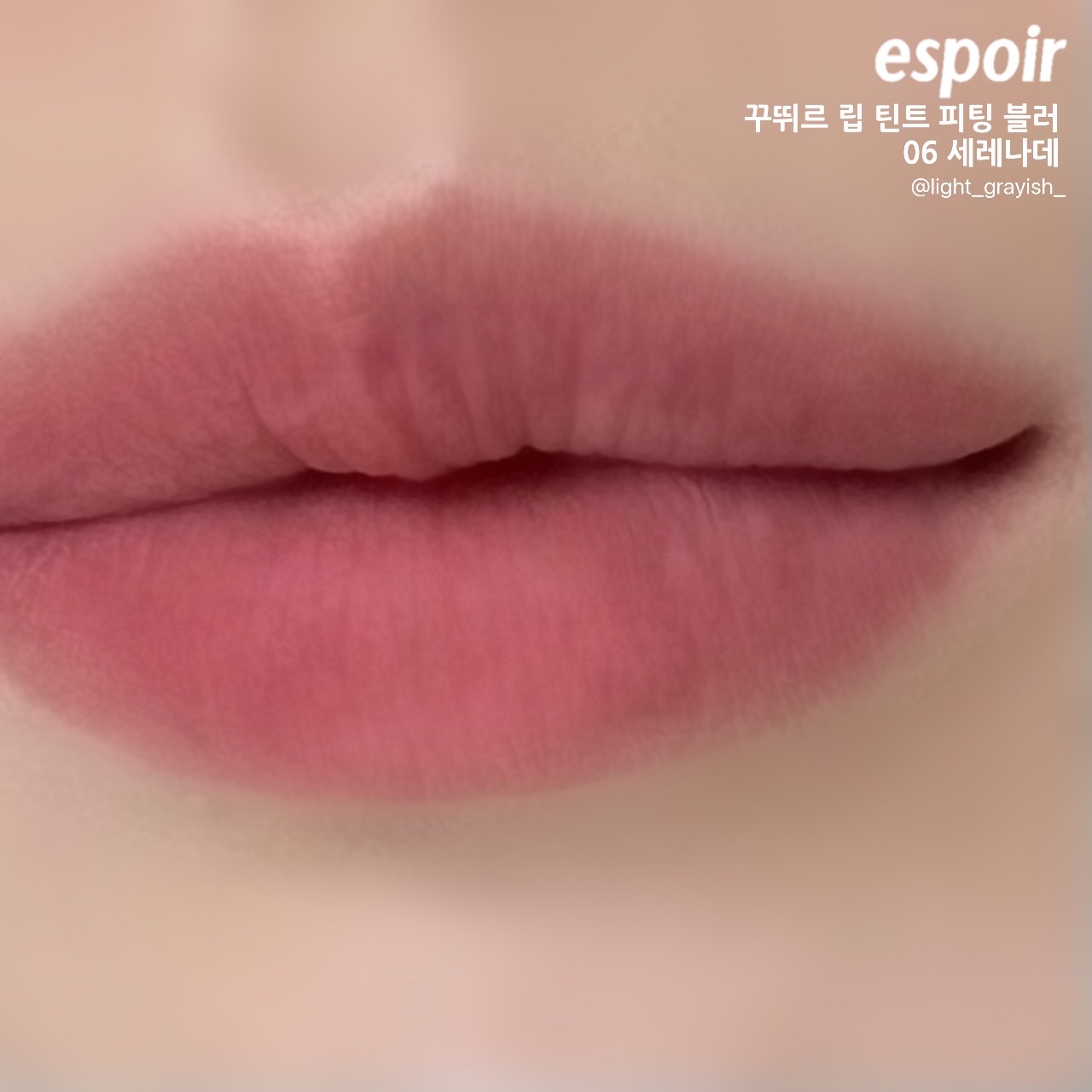 피드이미지정보-4