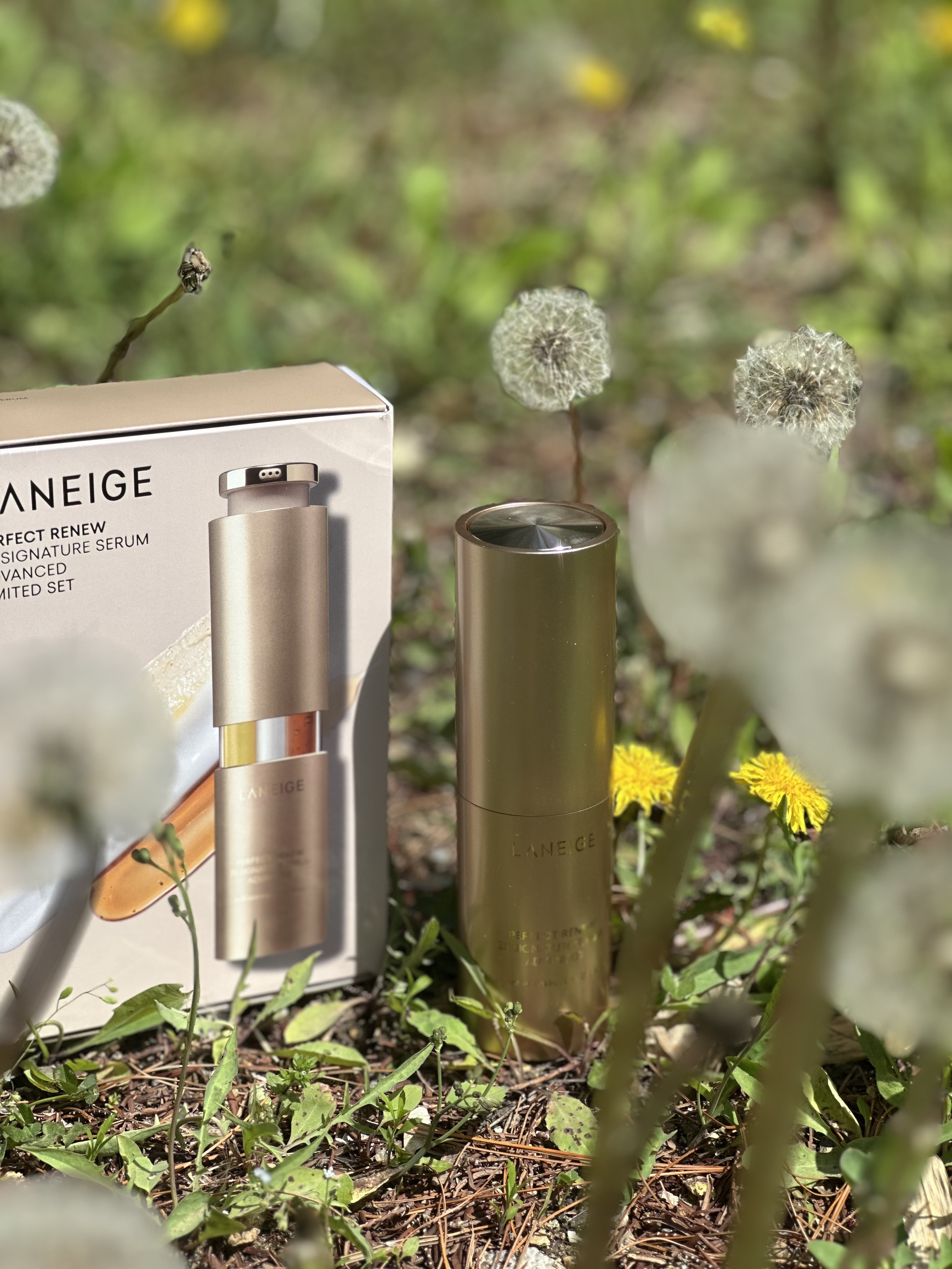 피드이미지정보-3