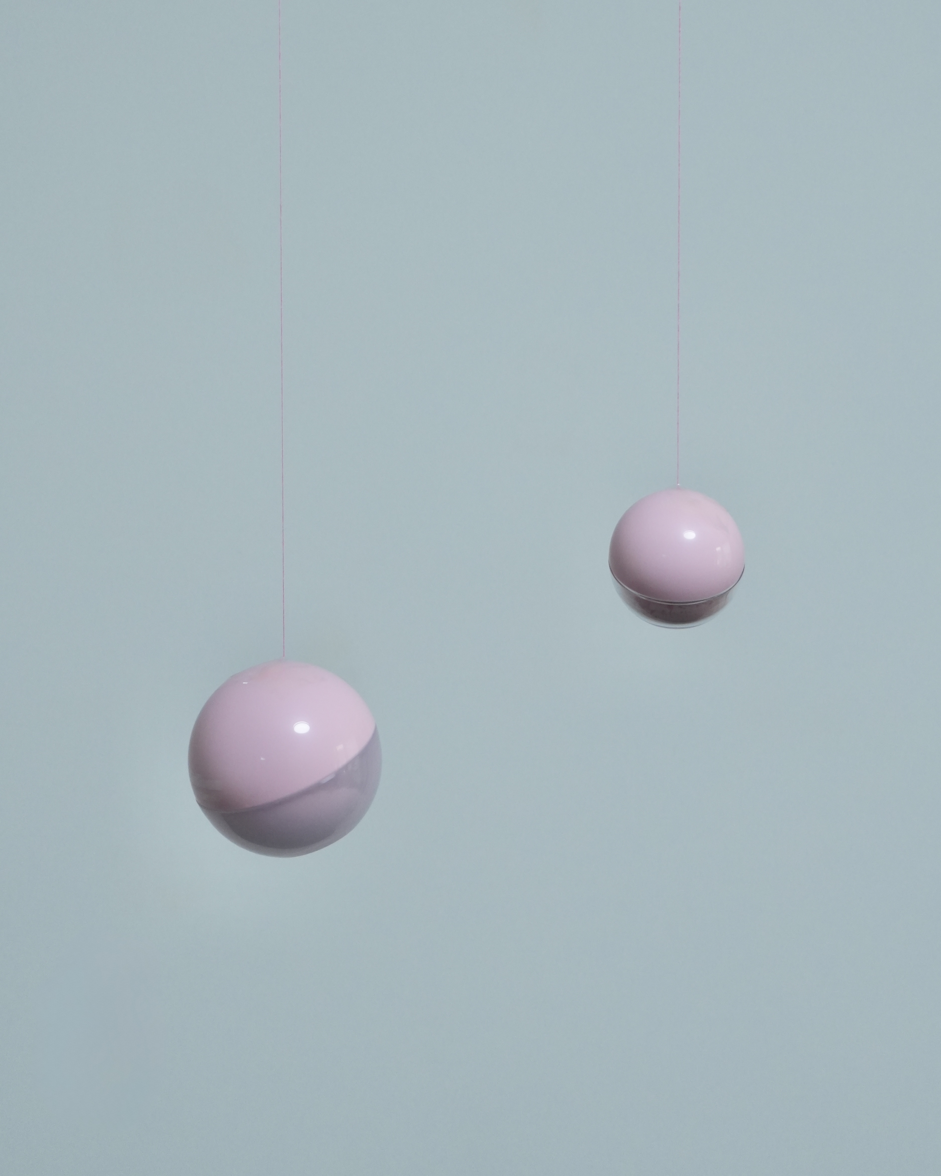 피드이미지정보-1