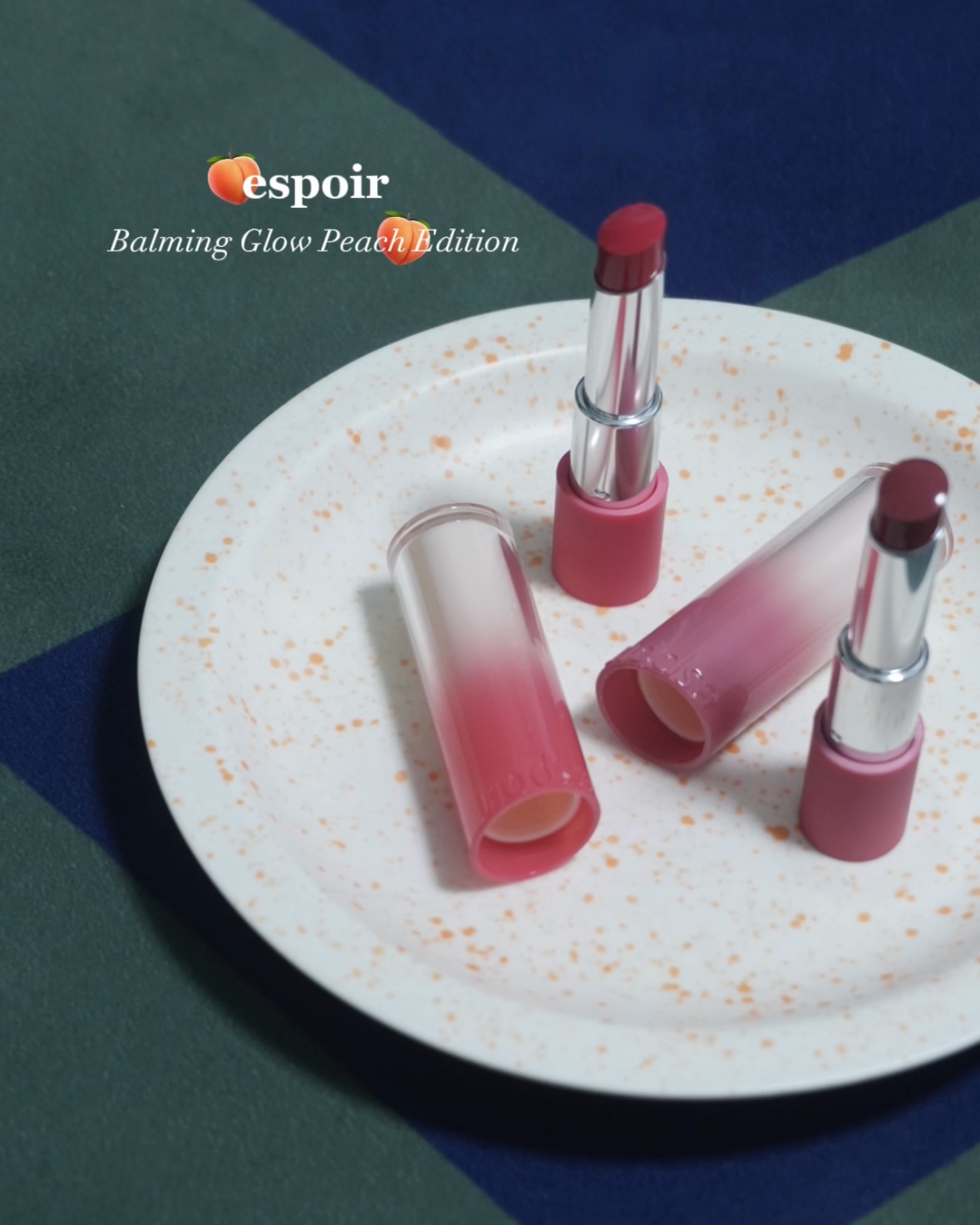 피드이미지정보-0