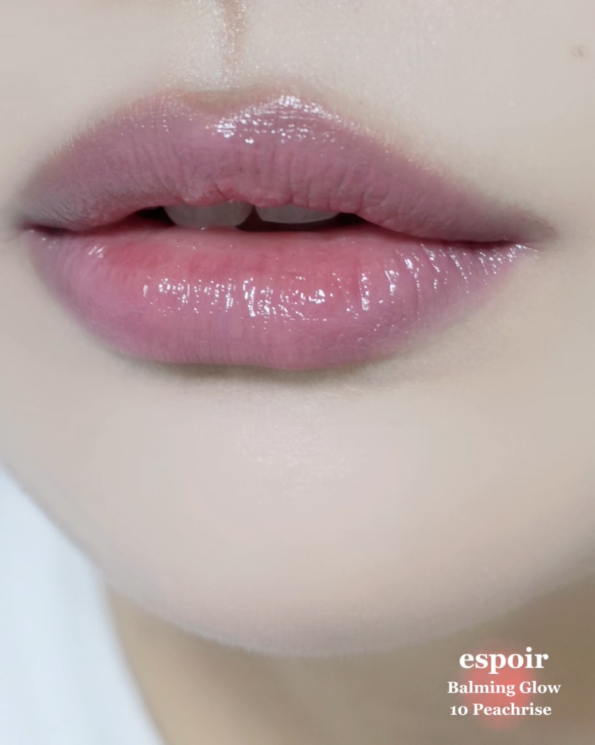 피드이미지정보-5