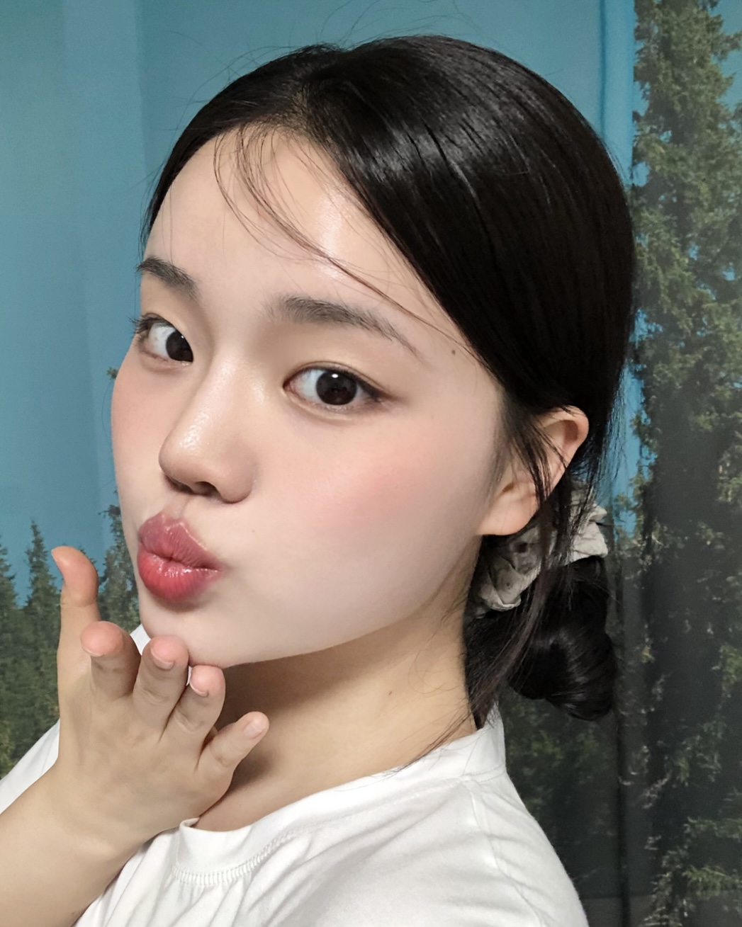 피드이미지정보-1