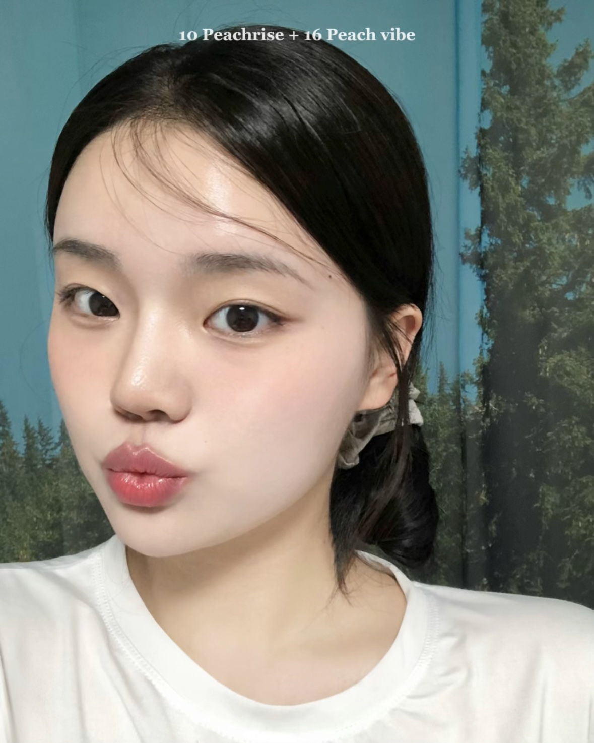 피드이미지정보-8