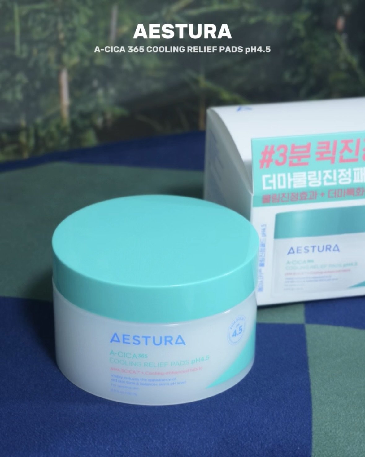 피드이미지정보-2