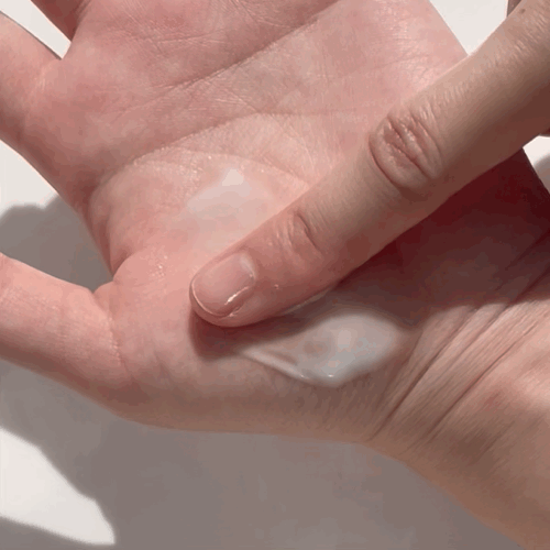 피드이미지정보-2