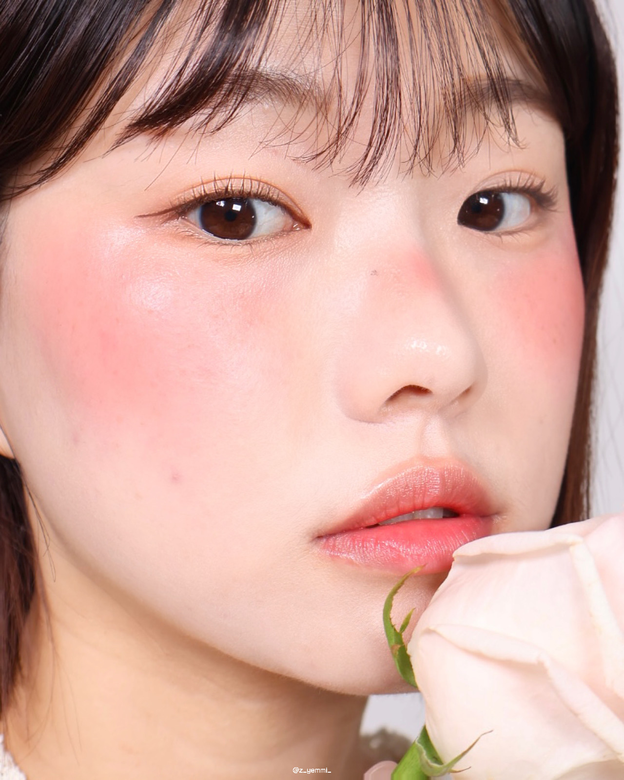 피드이미지정보-7