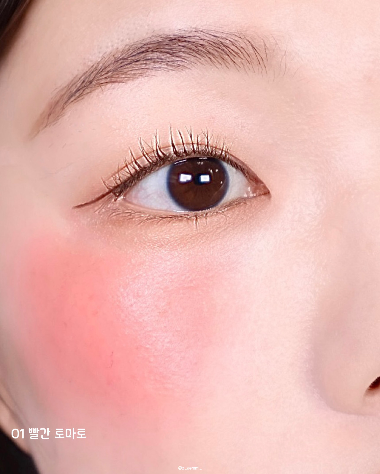 피드이미지정보-6