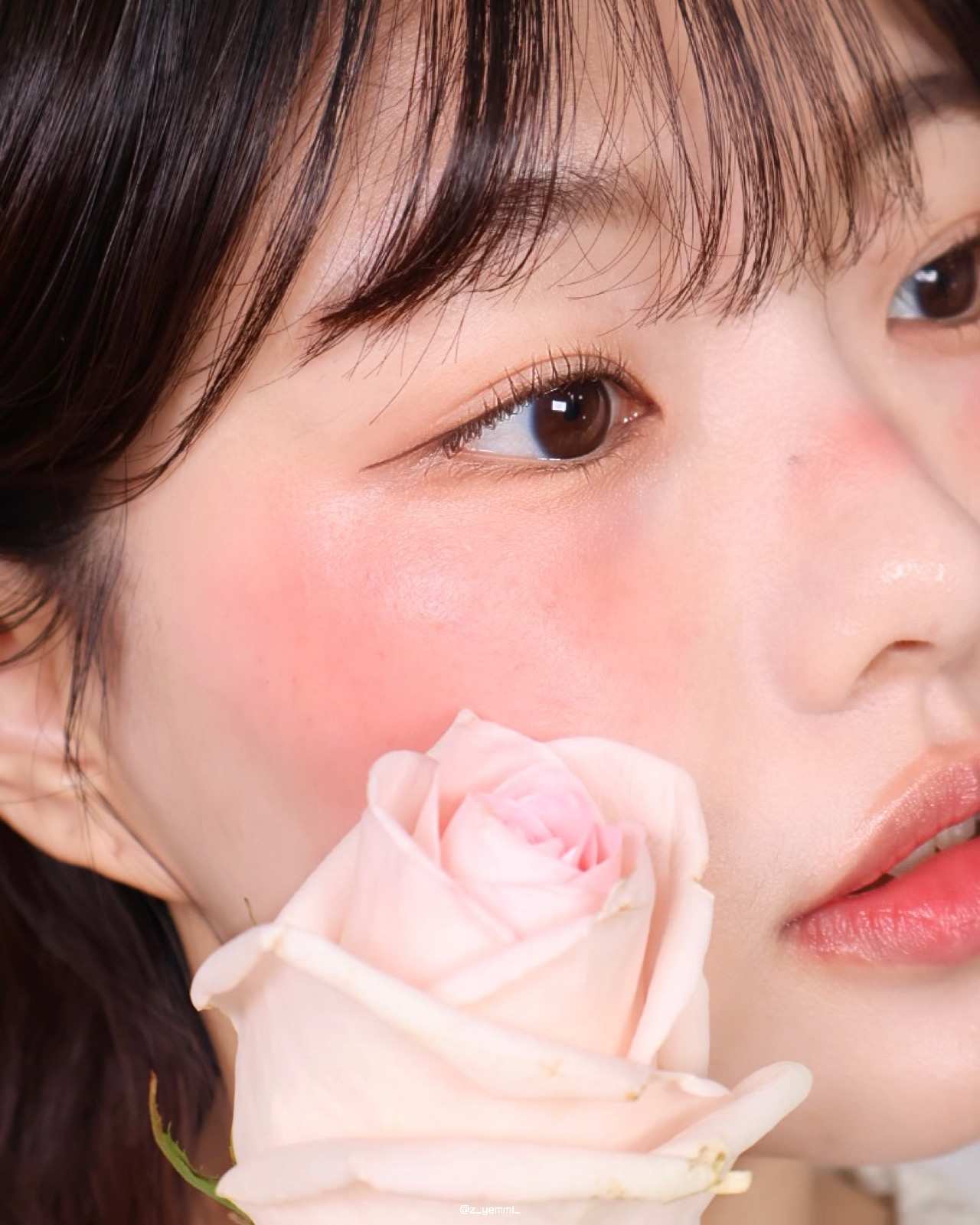 피드이미지정보-0