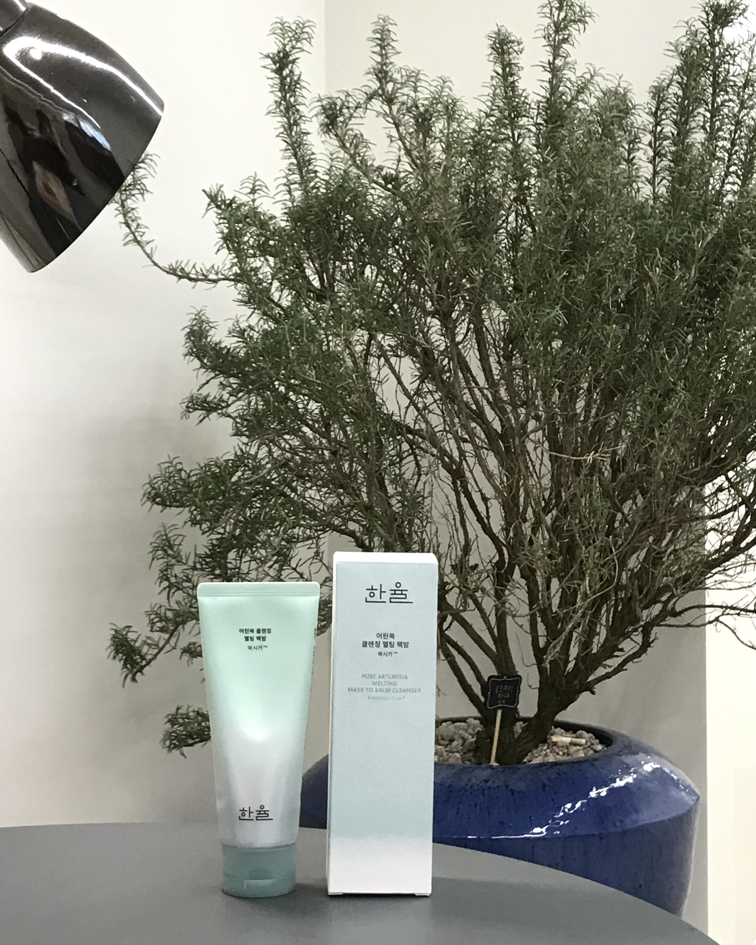 피드이미지정보-4