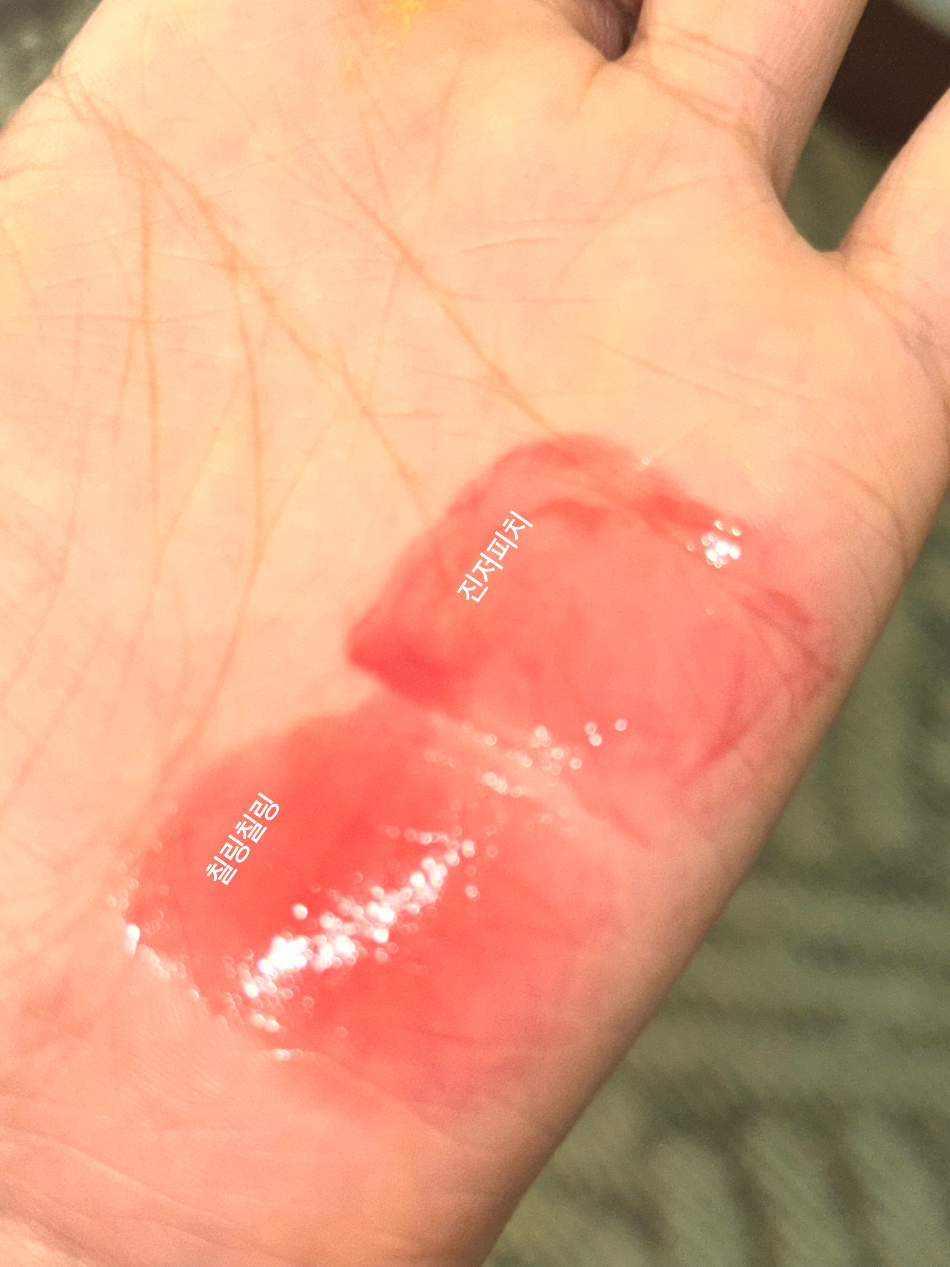 피드이미지정보-0