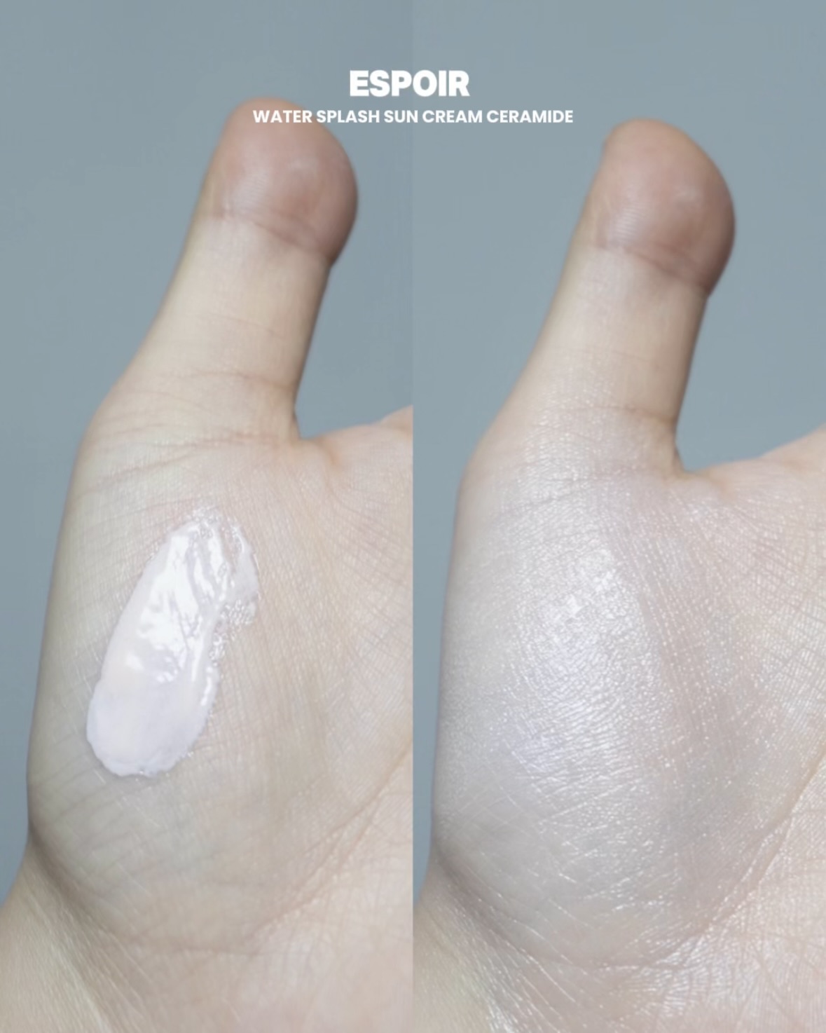 피드이미지정보-2