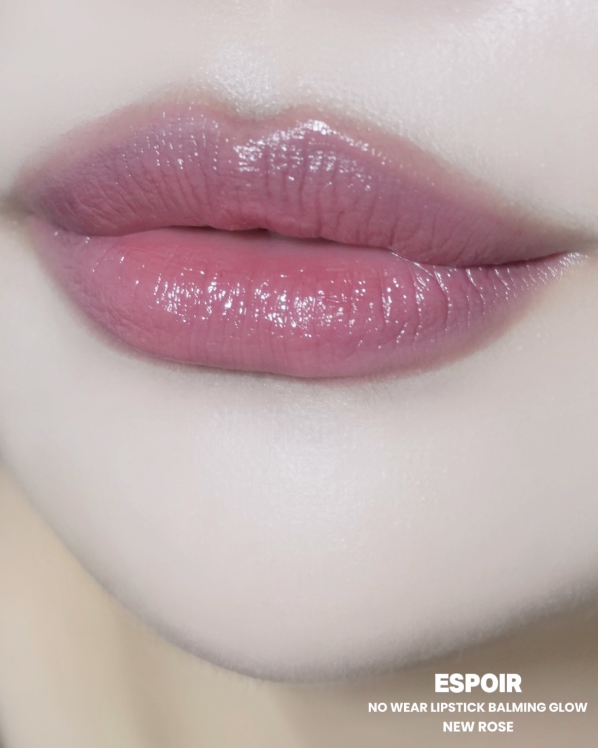 피드이미지정보-6