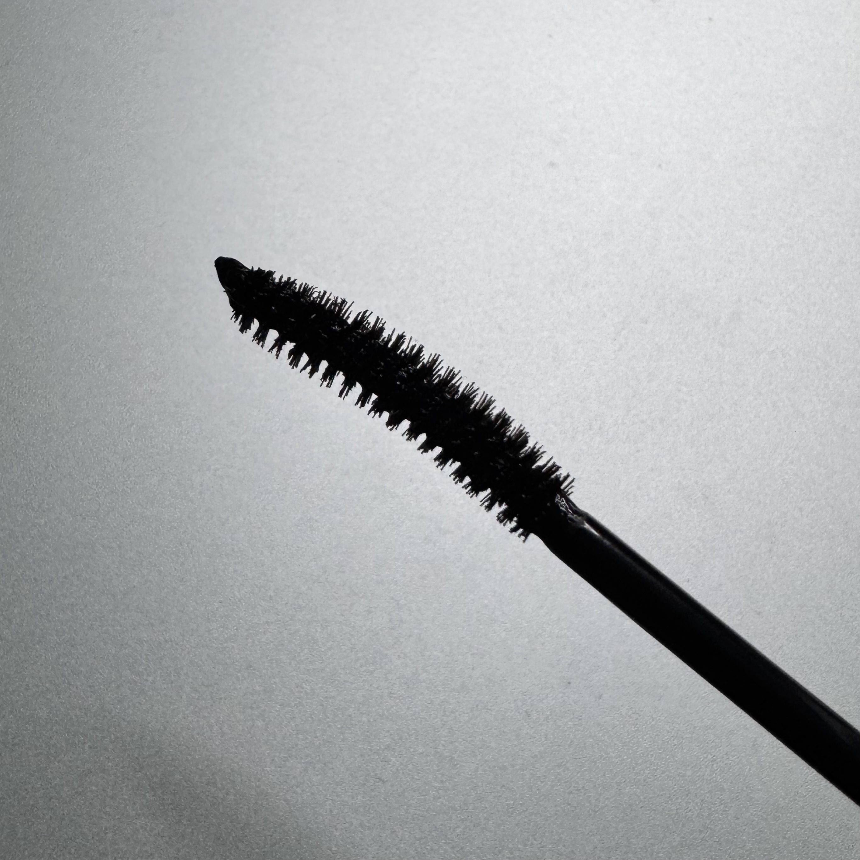 피드이미지정보-2