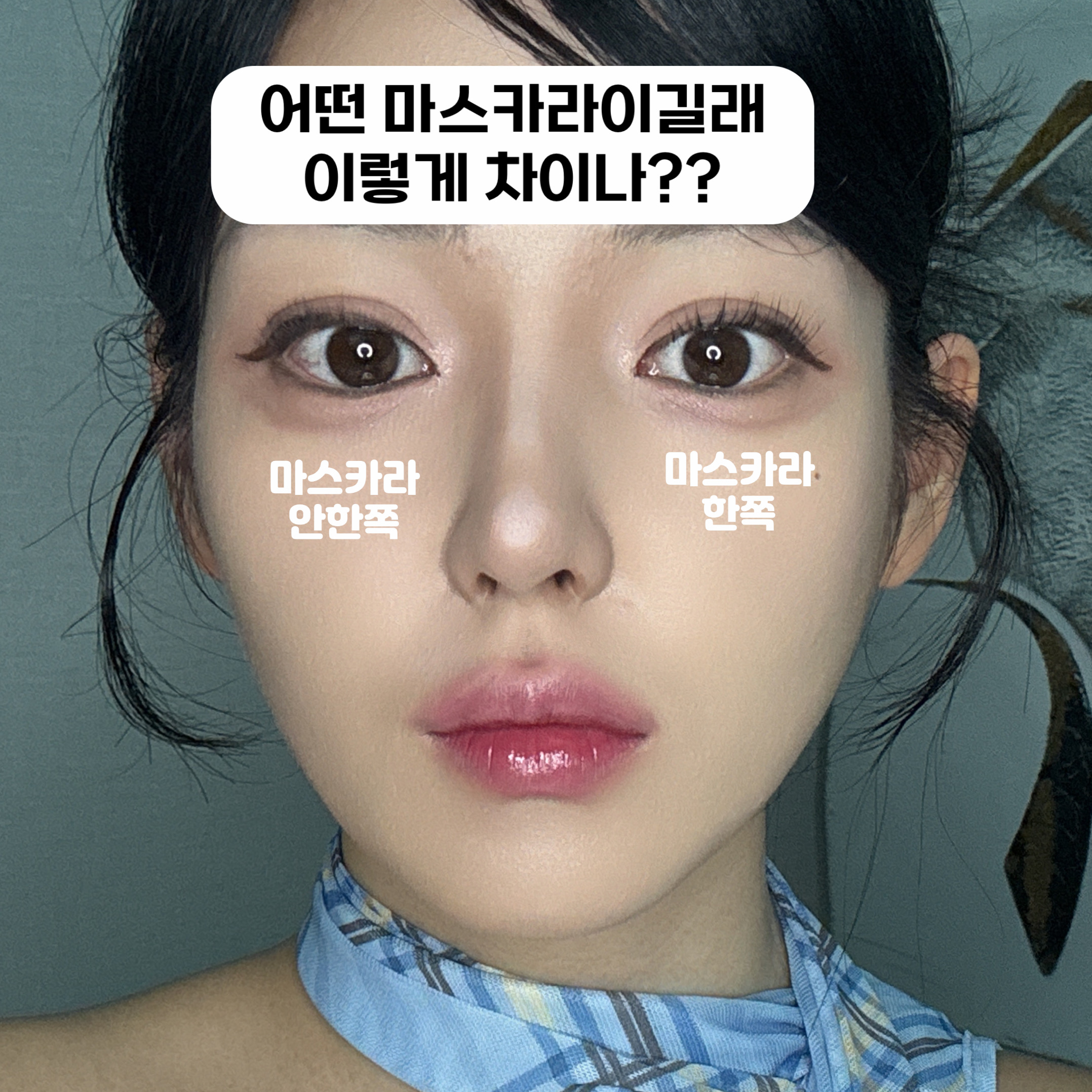 피드이미지정보-0