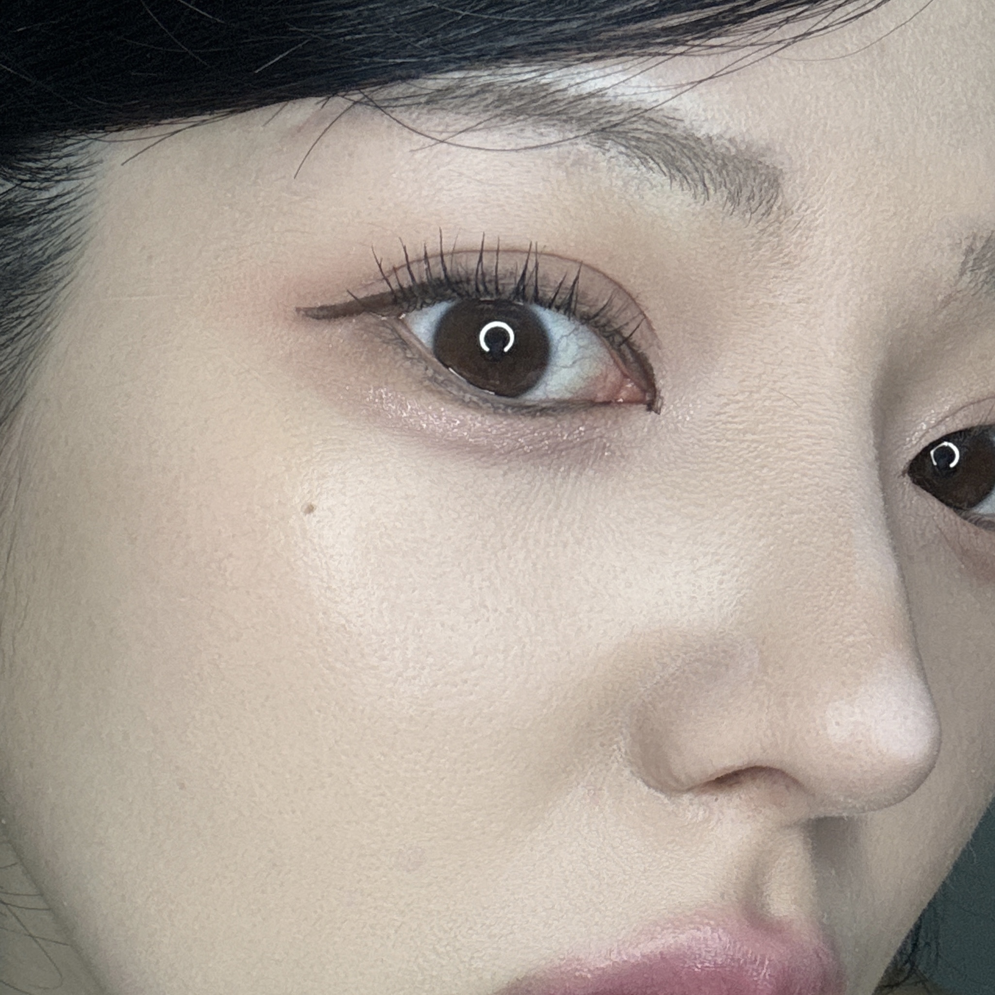 피드이미지정보-5