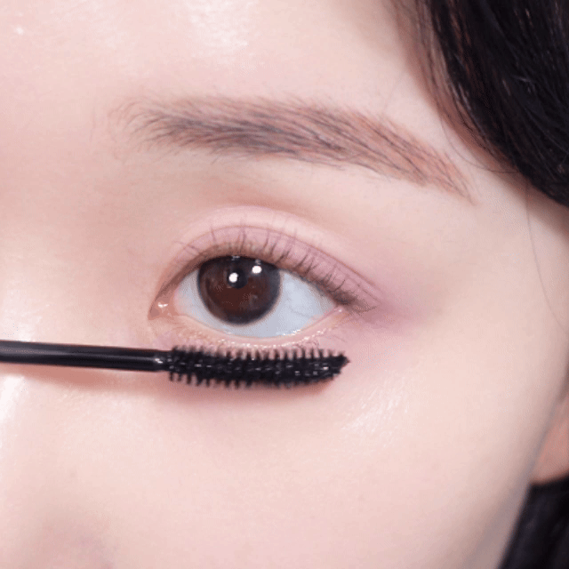 피드이미지정보-0