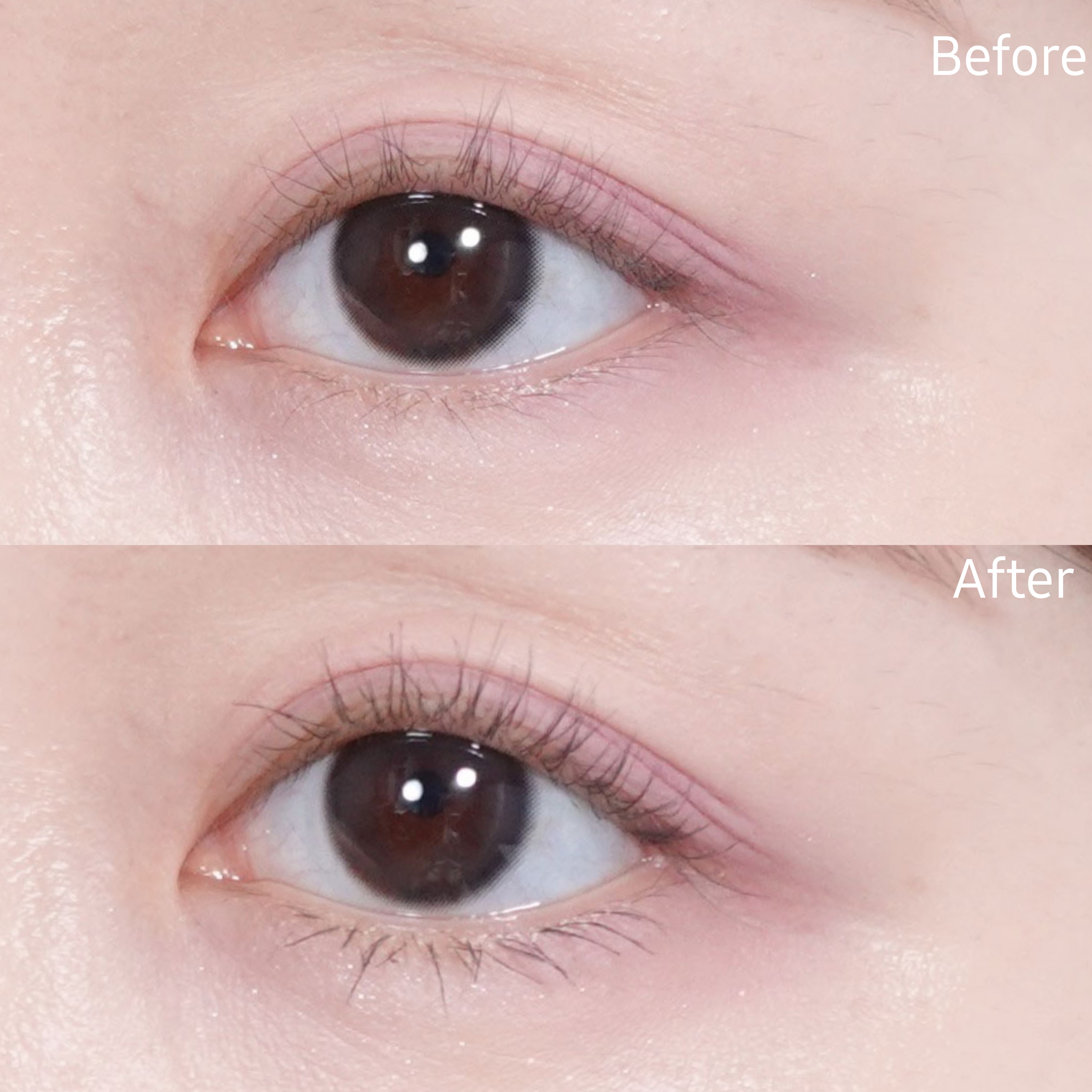 피드이미지정보-4