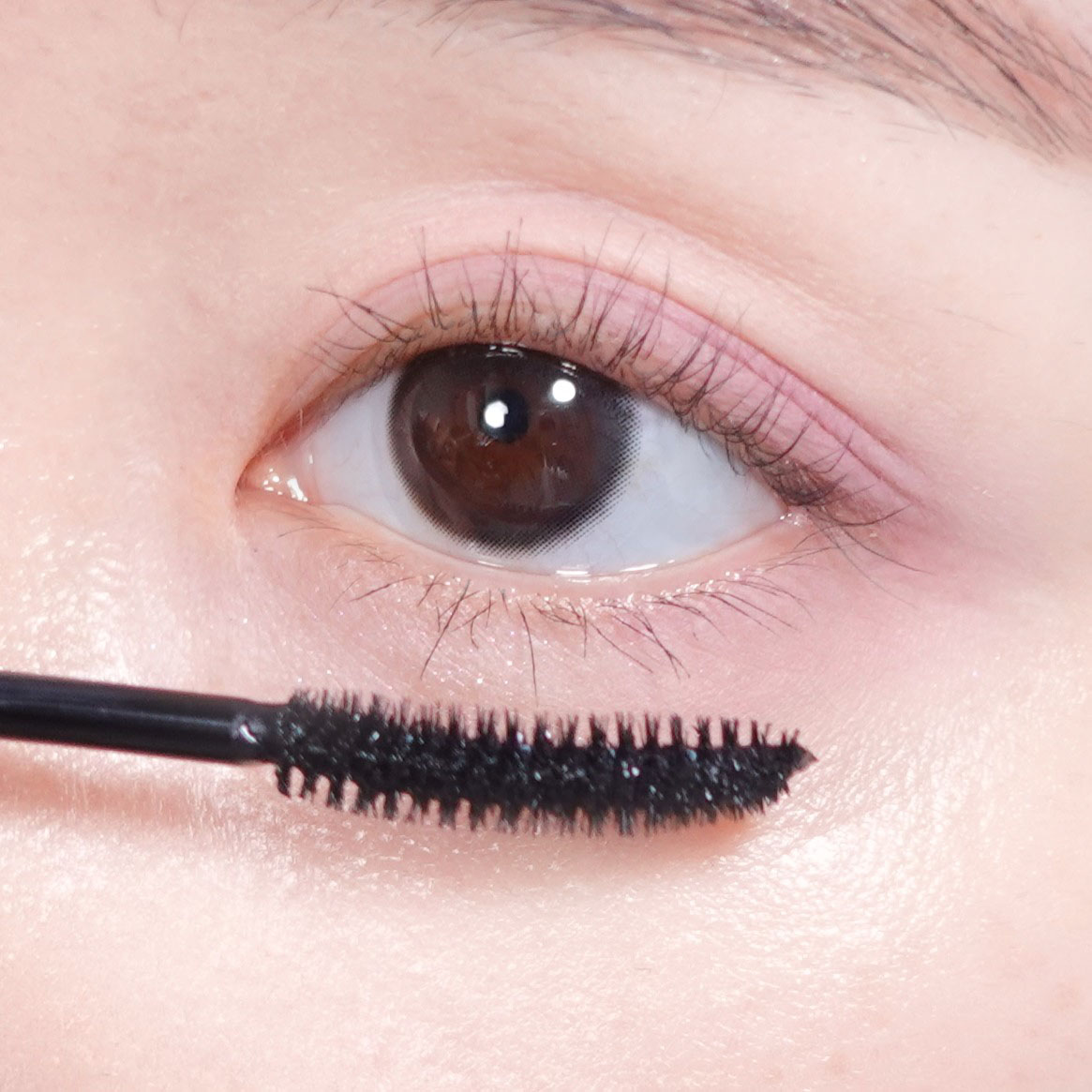 피드이미지정보-5