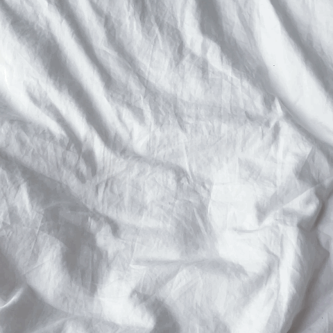 피드이미지정보-0