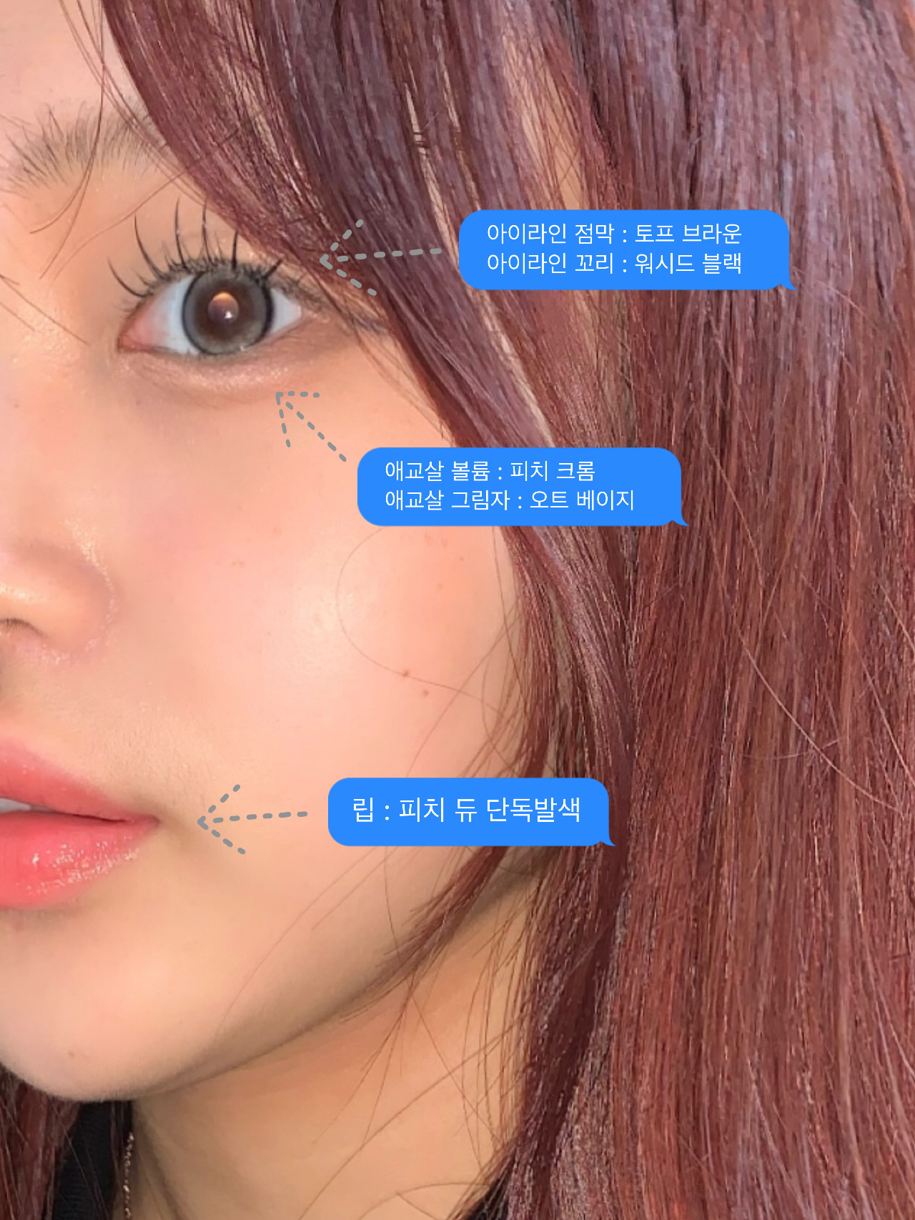 피드이미지정보-4