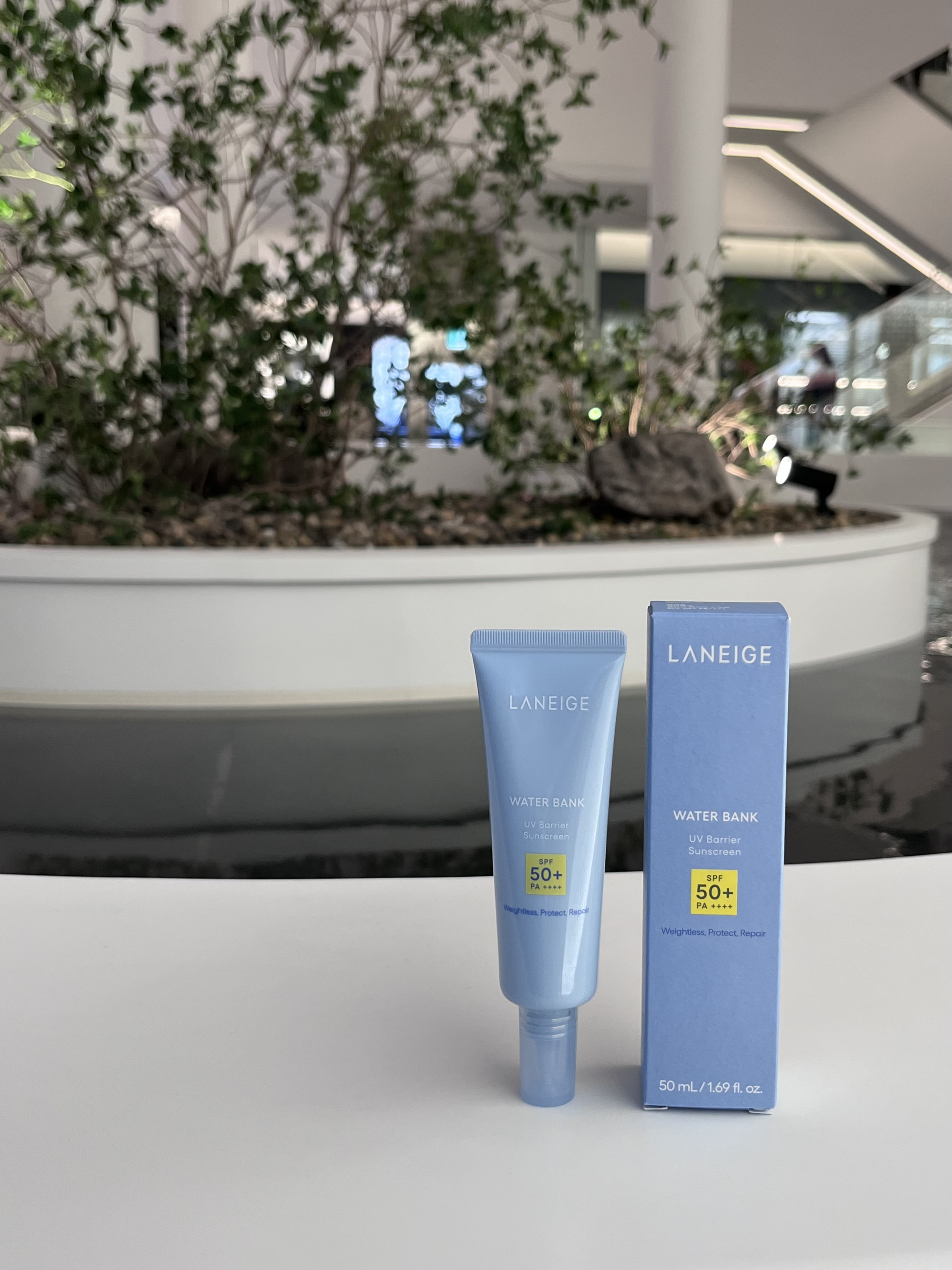 피드이미지정보-5