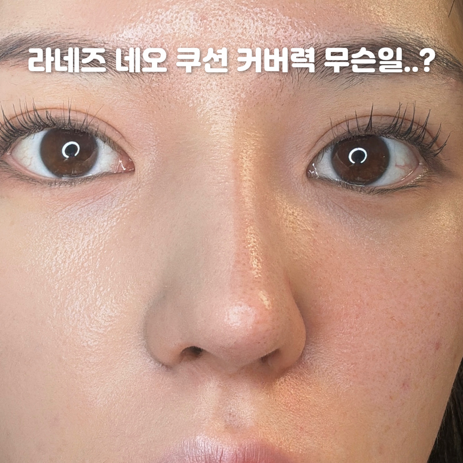 피드이미지정보-0