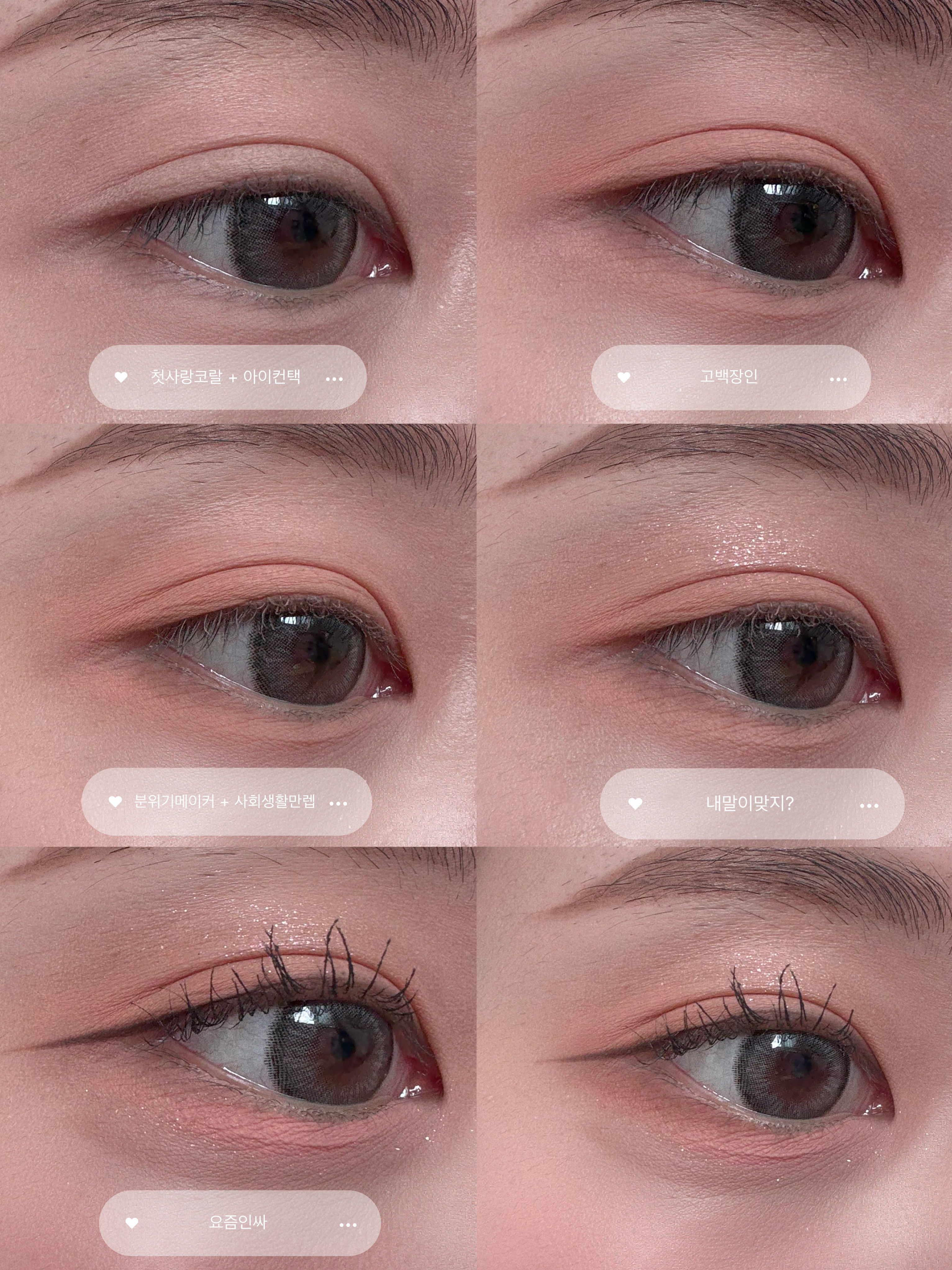 피드이미지정보-0