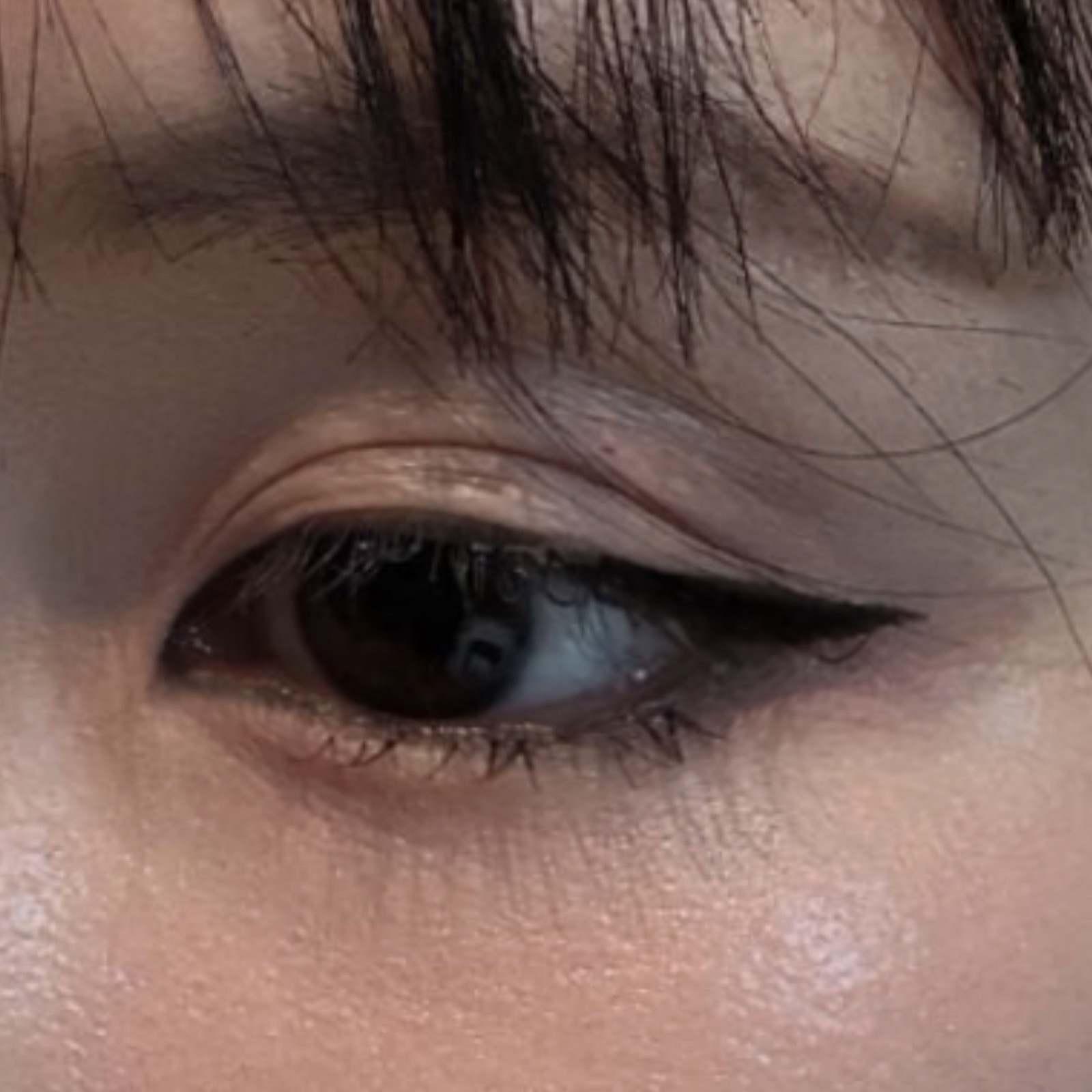 피드이미지정보-0