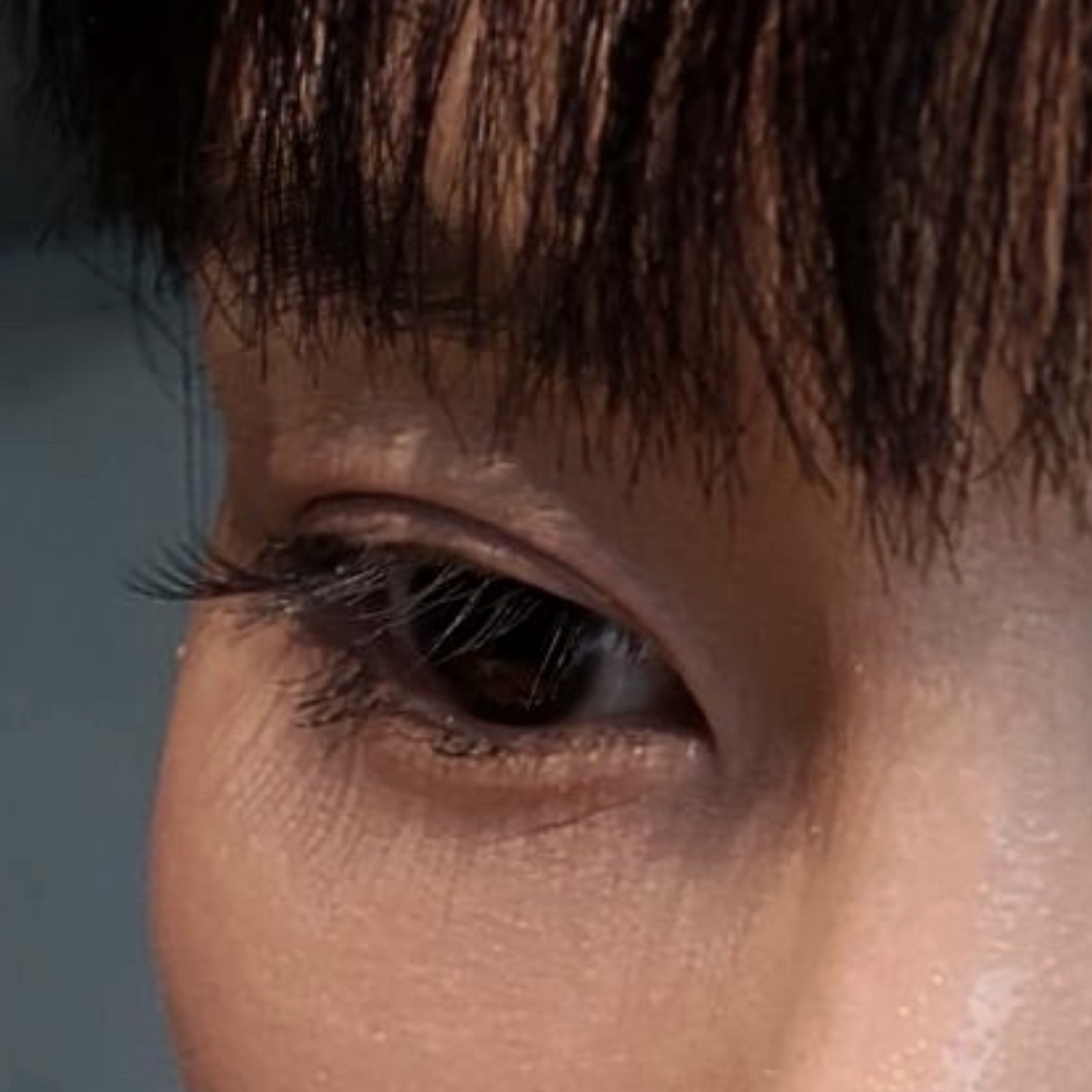 피드이미지정보-4