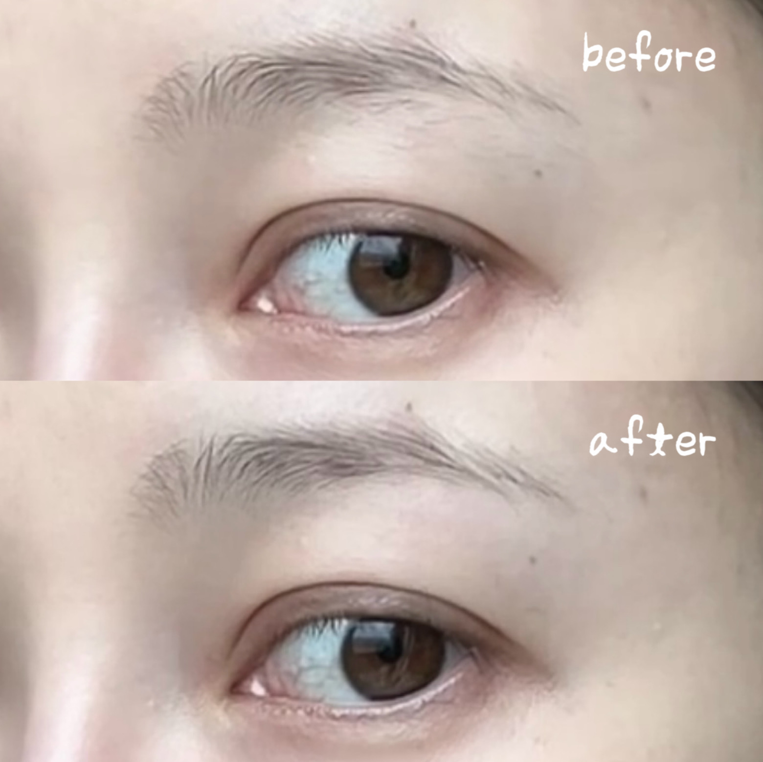 피드이미지정보-4