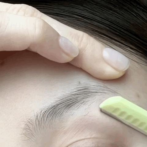 피드이미지정보-0