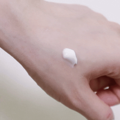 피드이미지정보-4