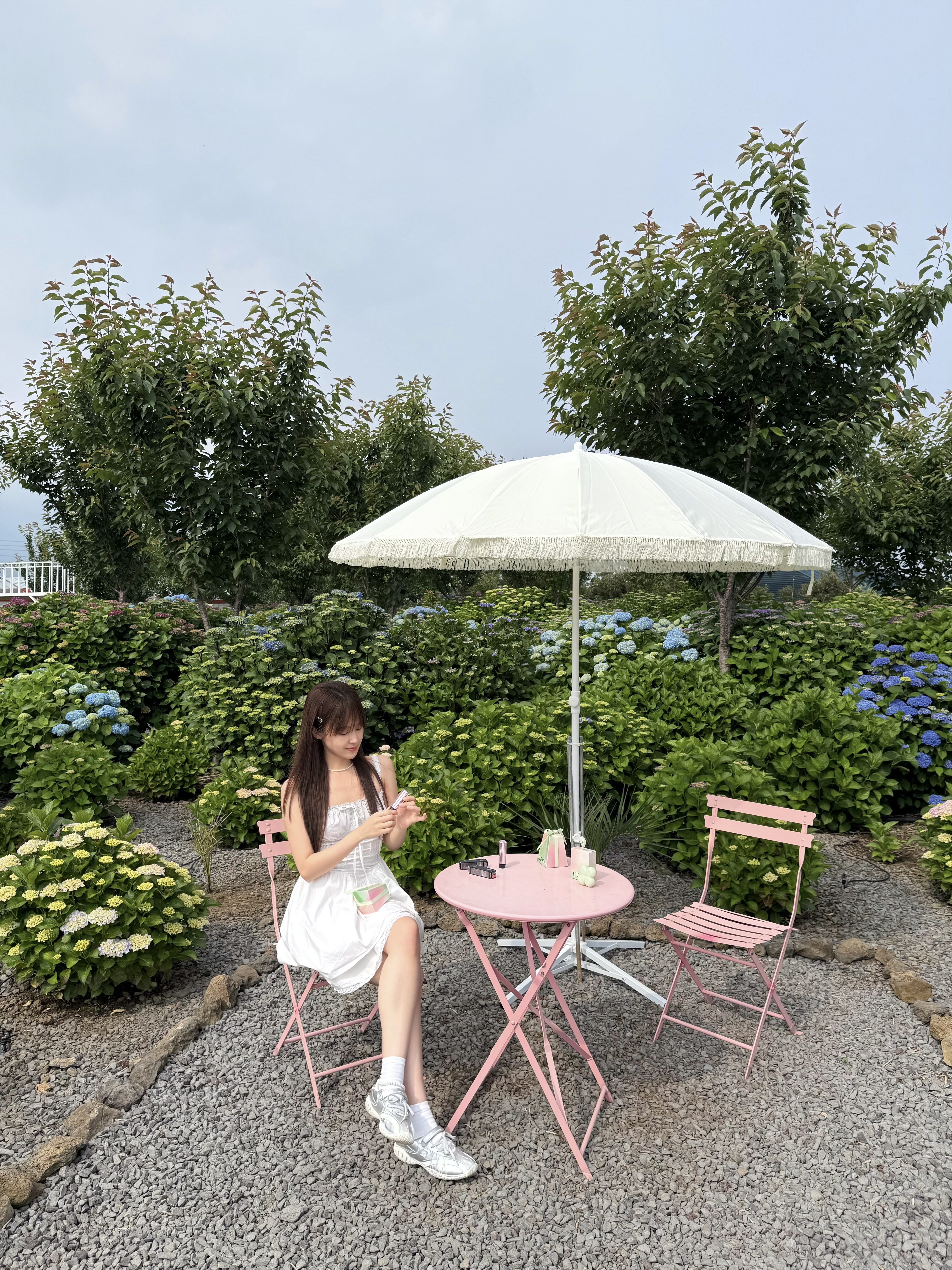 피드이미지정보-3